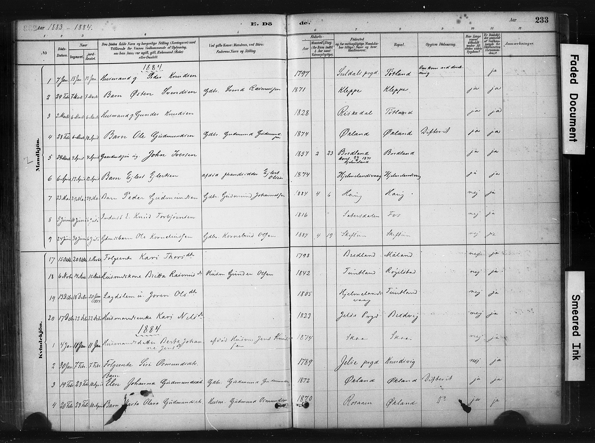 Hjelmeland sokneprestkontor, AV/SAST-A-101843/01/IV/L0014: Parish register (official) no. A 14, 1879-1900, p. 233