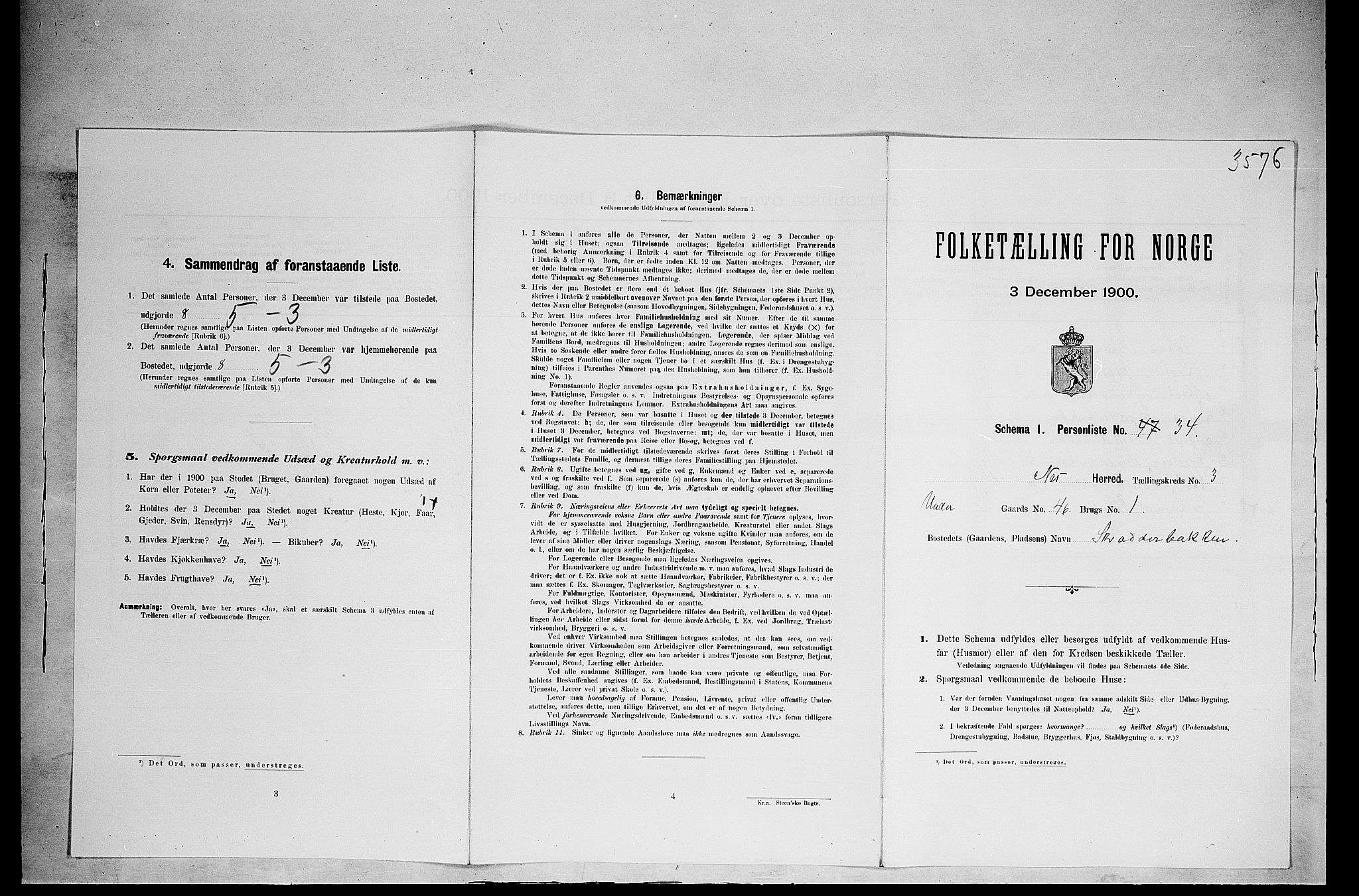 SAH, 1900 census for Nes, 1900, p. 500