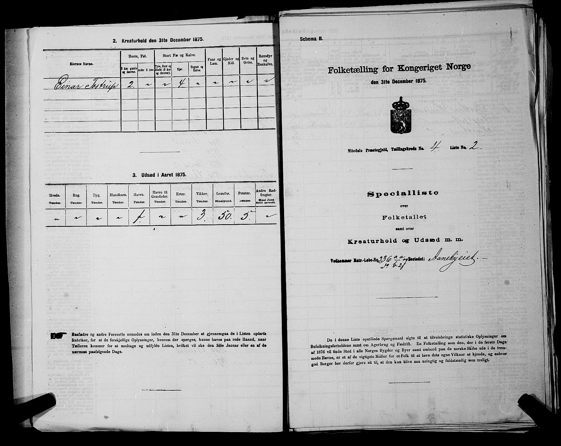 RA, 1875 census for 0233P Nittedal, 1875, p. 621