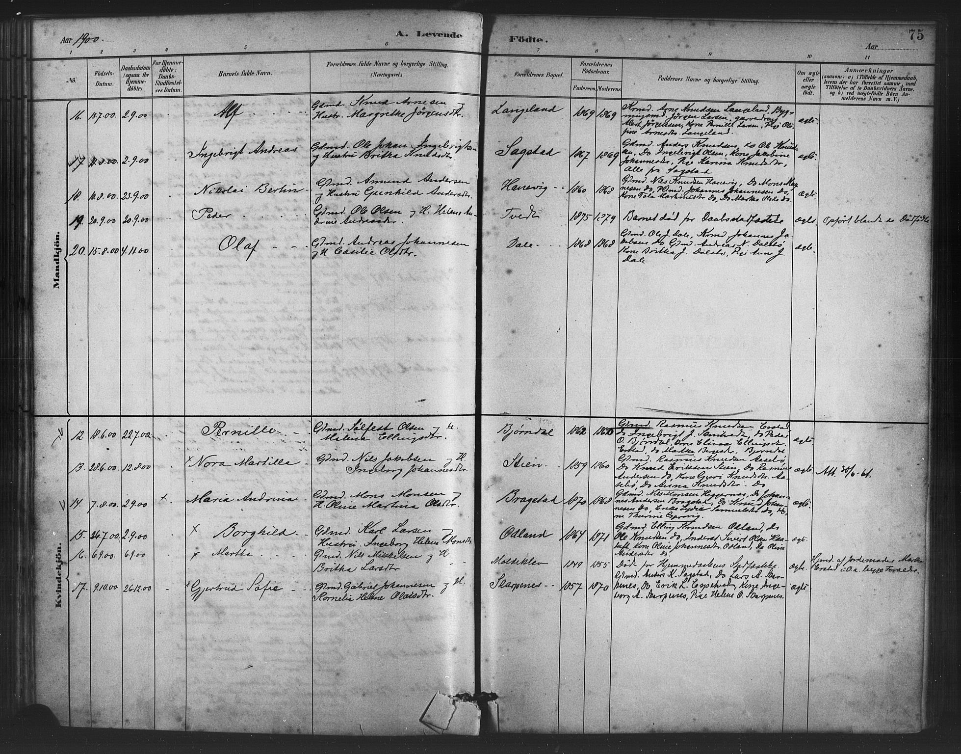 Alversund Sokneprestembete, AV/SAB-A-73901/H/Ha/Haa/Haac/L0001: Parish register (official) no. C 1, 1882-1900, p. 75