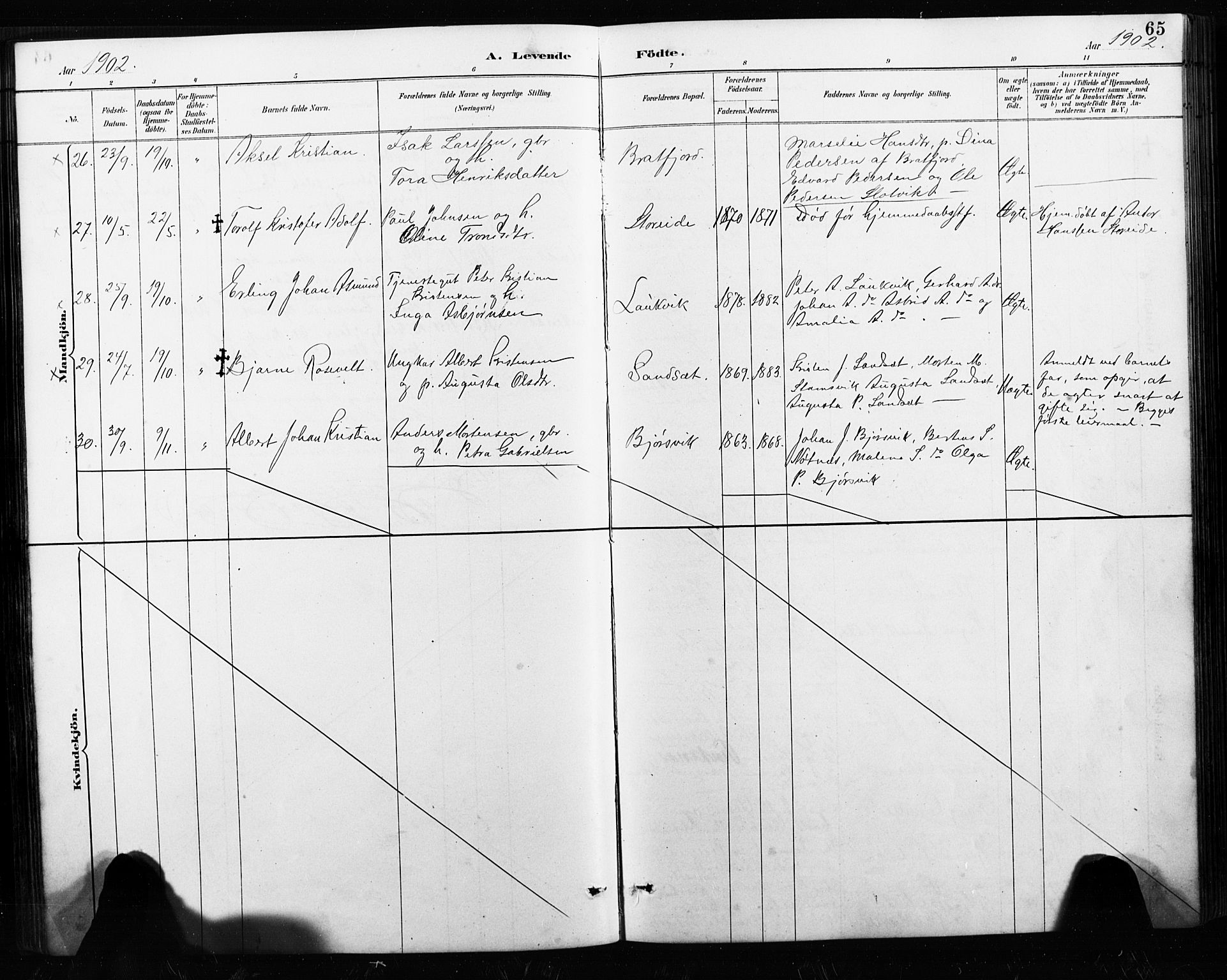 Ministerialprotokoller, klokkerbøker og fødselsregistre - Nordland, AV/SAT-A-1459/858/L0834: Parish register (copy) no. 858C01, 1884-1904, p. 65