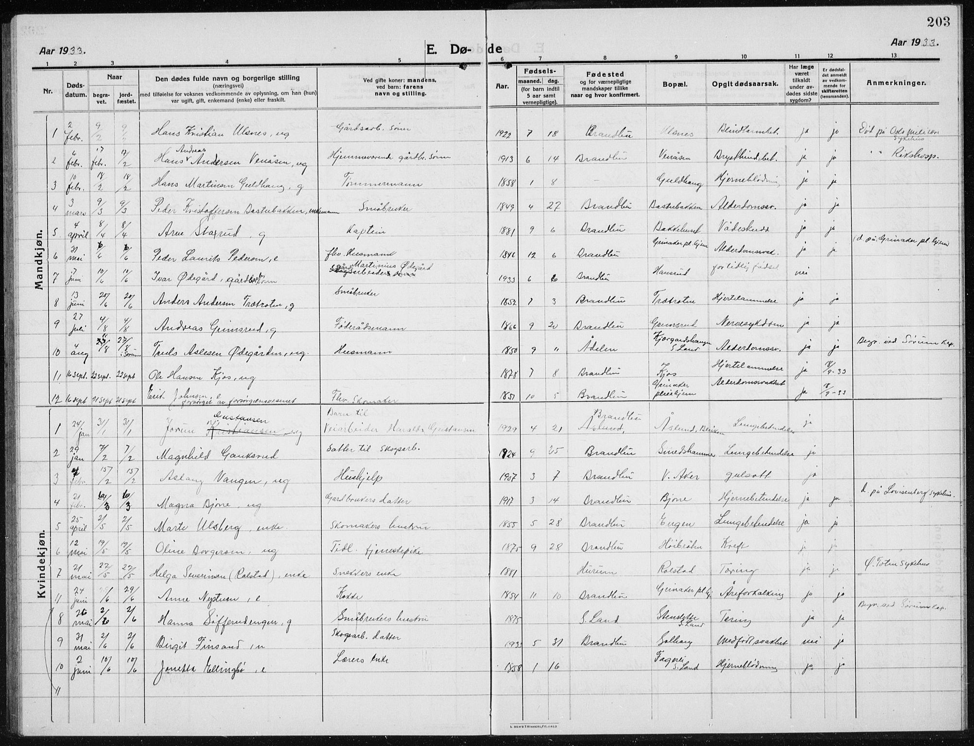 Brandbu prestekontor, SAH/PREST-114/H/Ha/Hab/L0001: Parish register (copy) no. 1, 1914-1937, p. 203