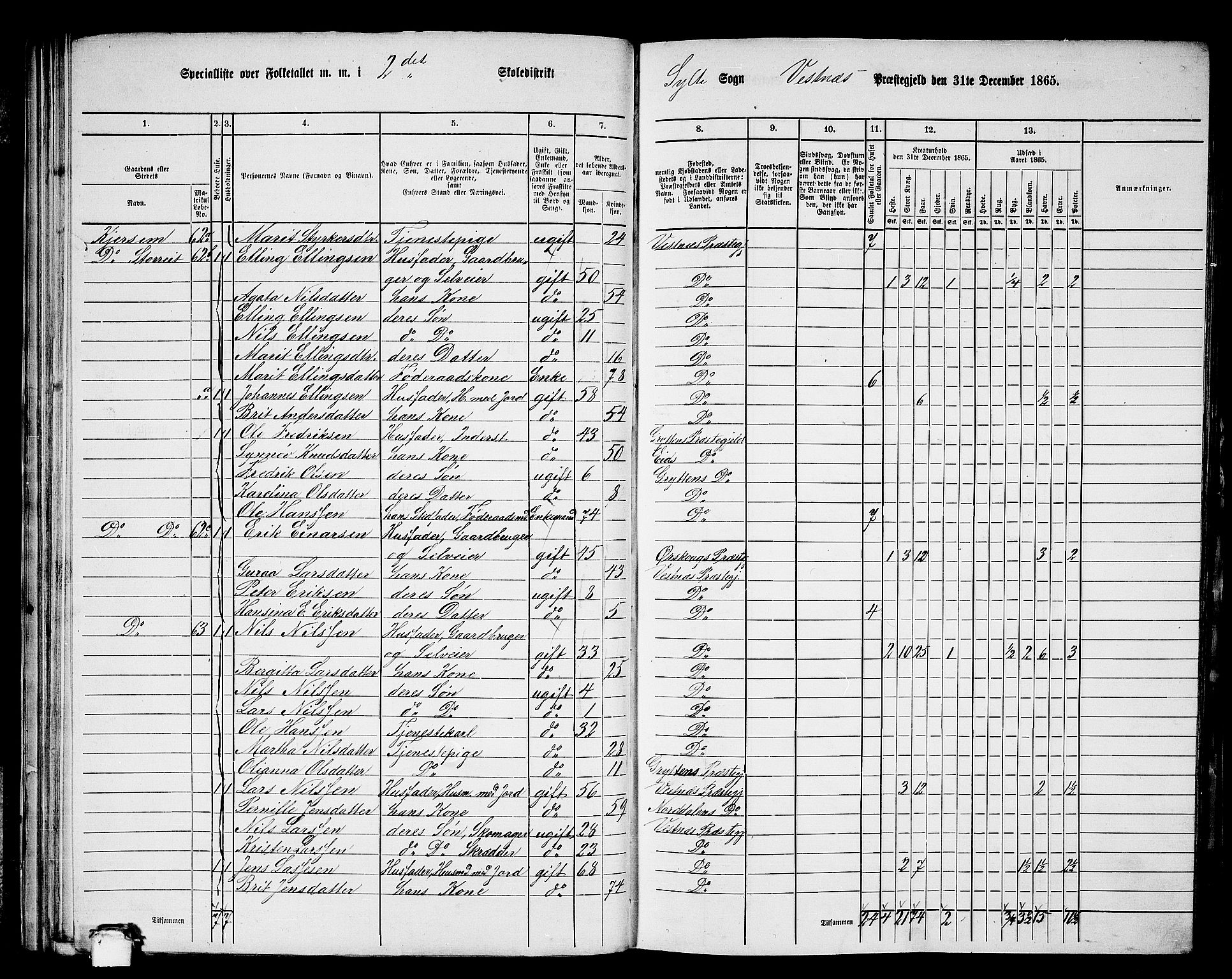 RA, 1865 census for Vestnes, 1865, p. 47