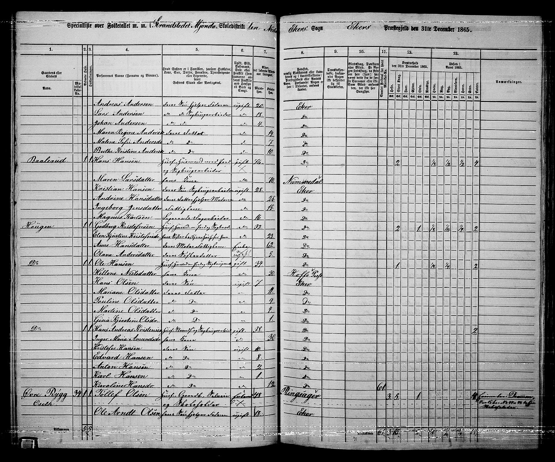 RA, 1865 census for Eiker, 1865, p. 392