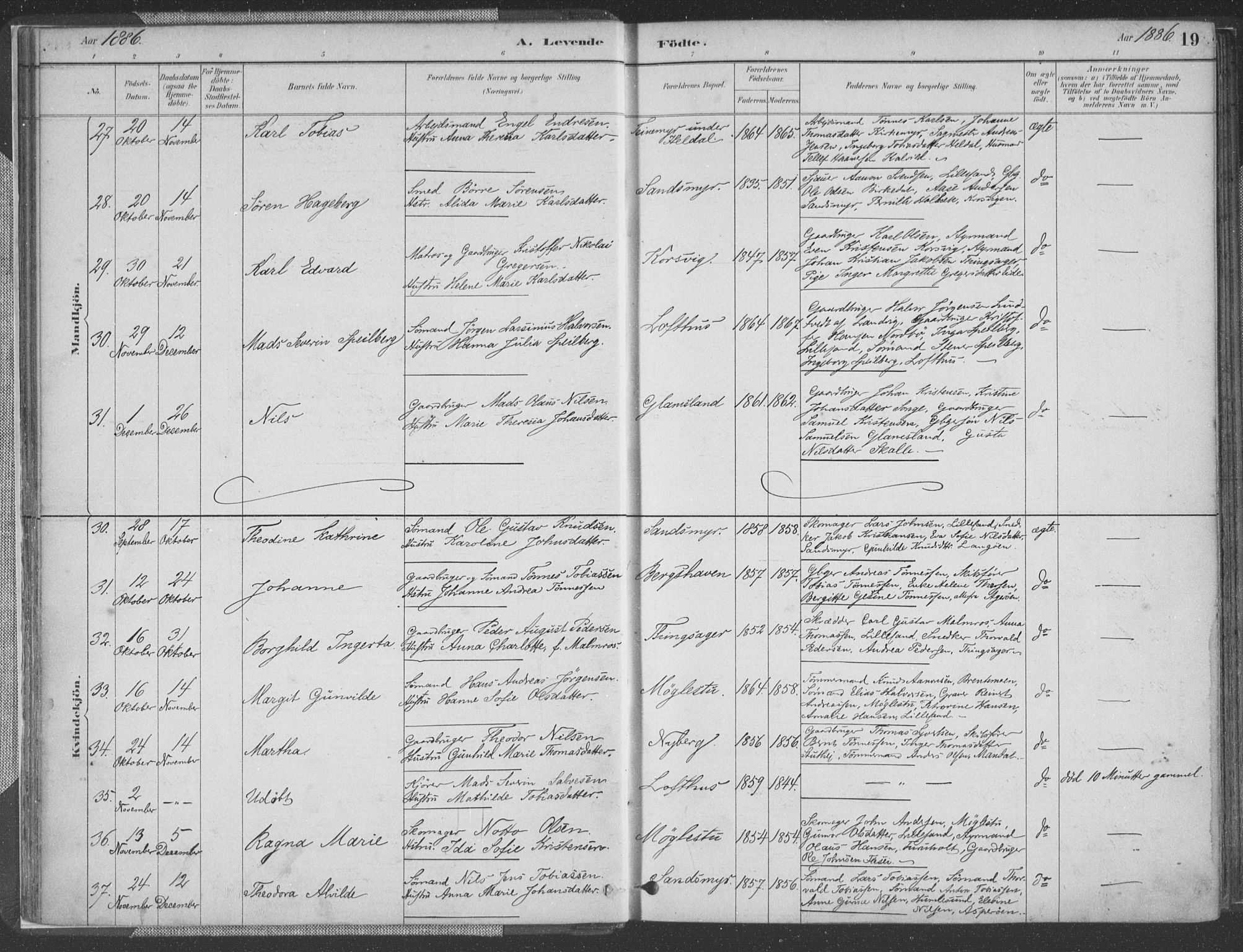 Vestre Moland sokneprestkontor, SAK/1111-0046/F/Fa/Fab/L0009: Parish register (official) no. A 9, 1884-1899, p. 19