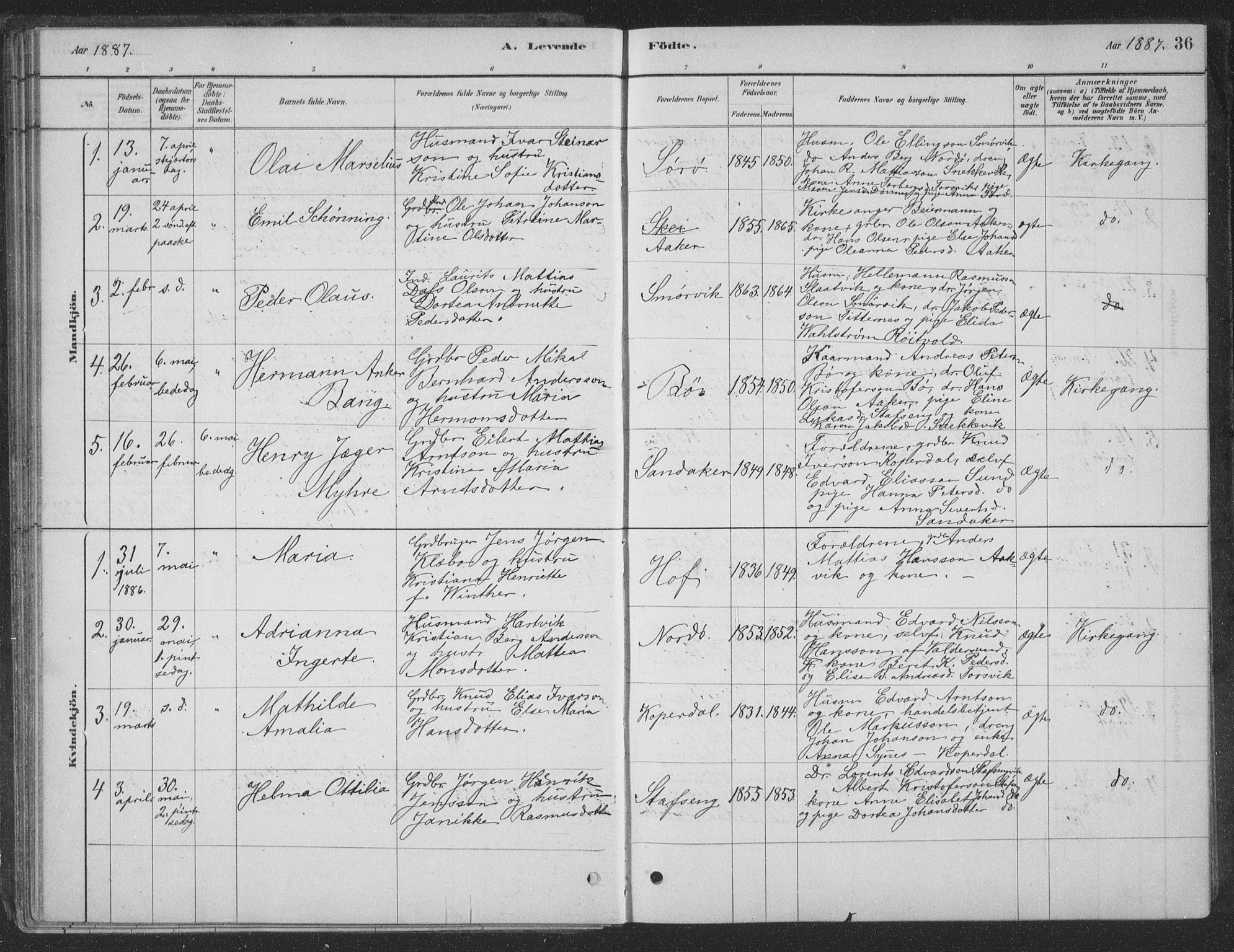 Ministerialprotokoller, klokkerbøker og fødselsregistre - Nordland, AV/SAT-A-1459/835/L0532: Parish register (copy) no. 835C04, 1880-1905, p. 36