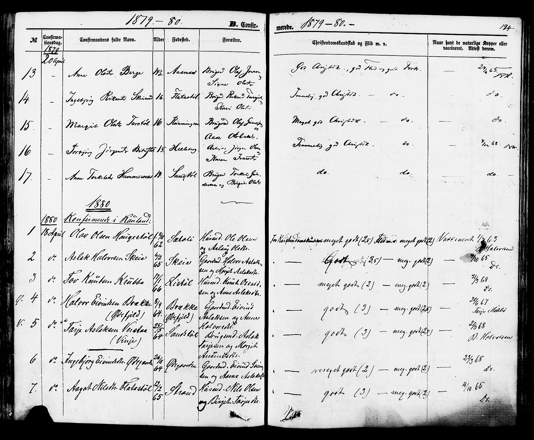 Rauland kirkebøker, SAKO/A-292/F/Fa/L0003: Parish register (official) no. 3, 1859-1886, p. 194
