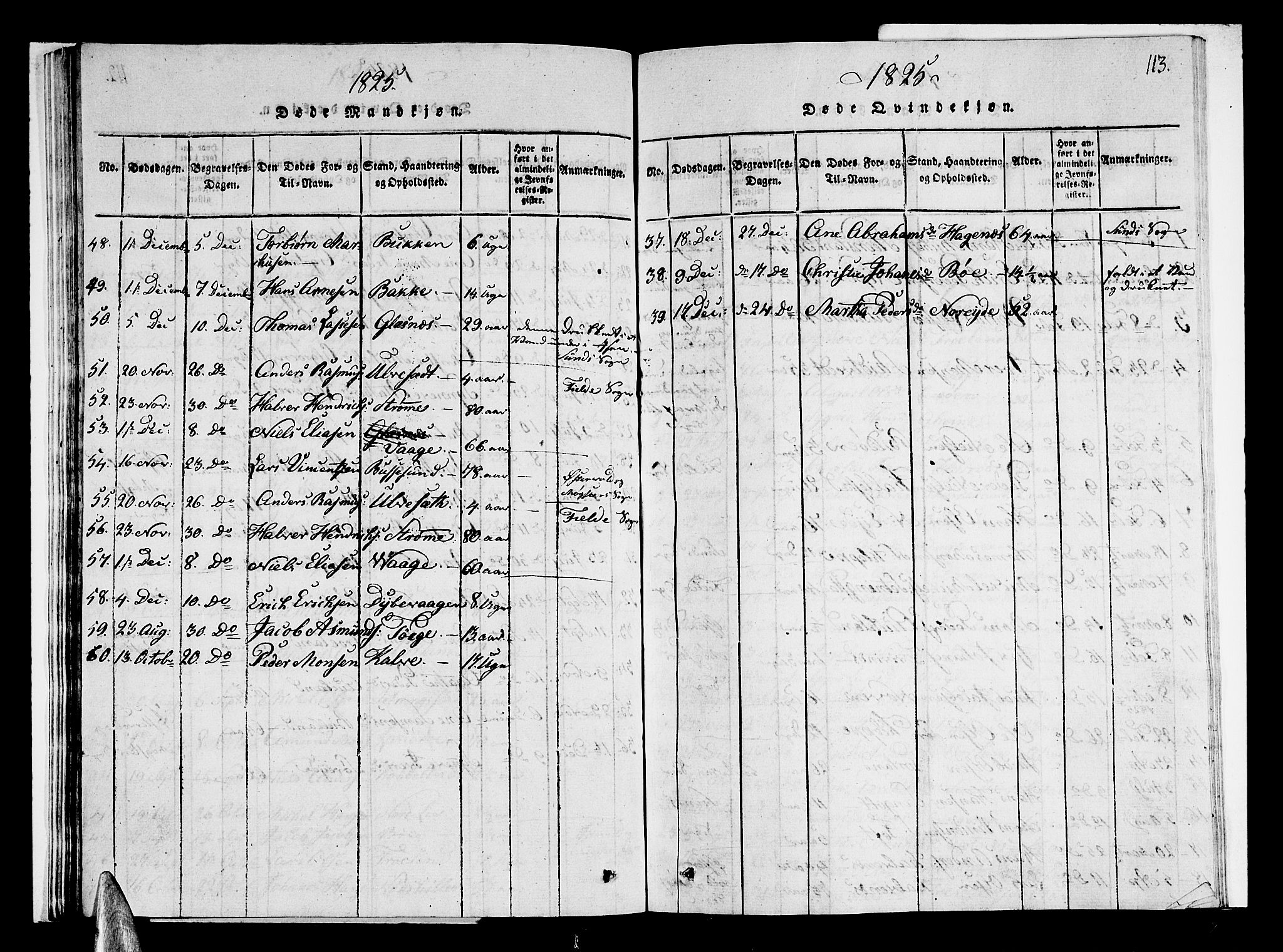 Sund sokneprestembete, AV/SAB-A-99930: Parish register (copy) no. A 1, 1816-1827, p. 113