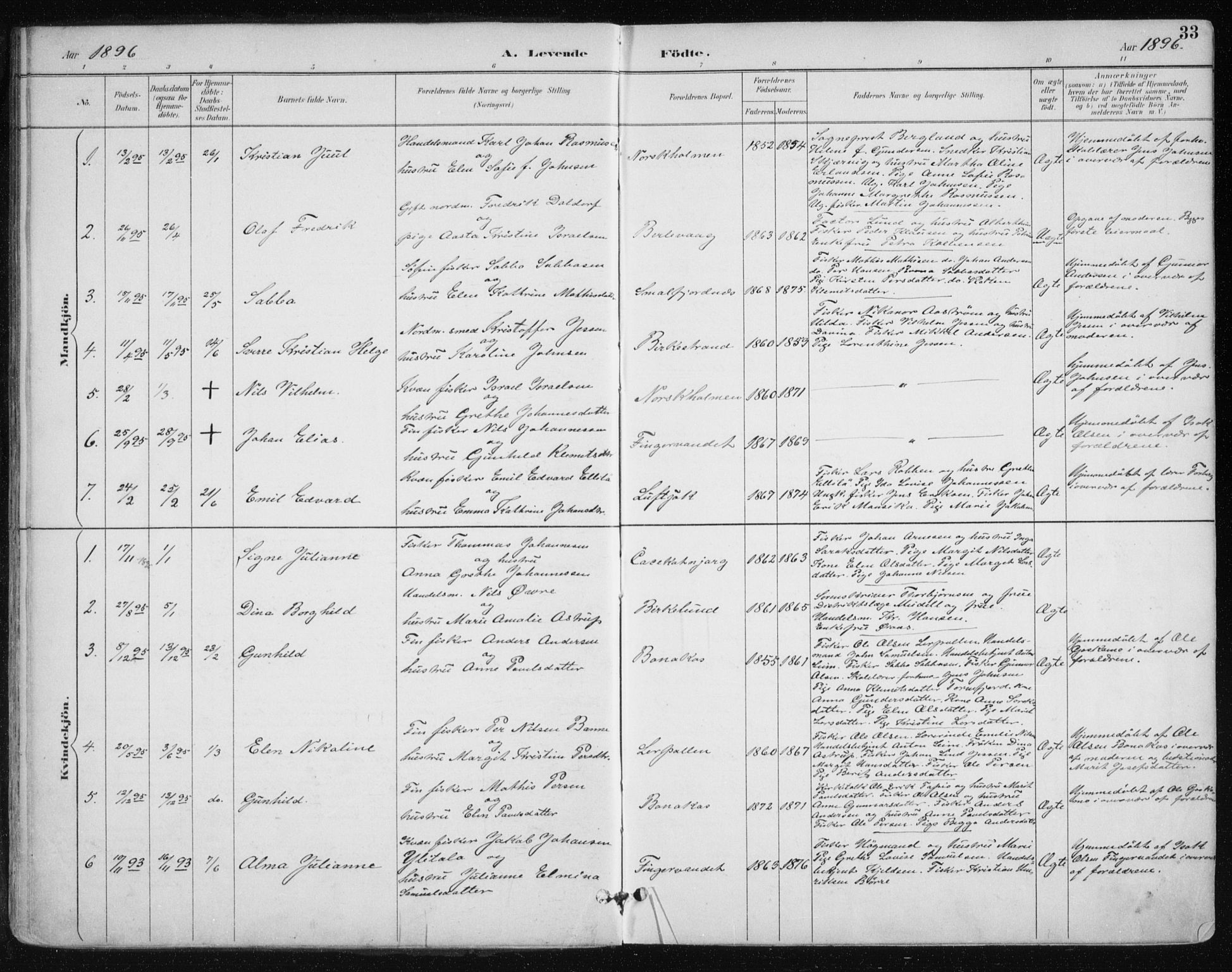 Tana sokneprestkontor, SATØ/S-1334/H/Ha/L0005kirke: Parish register (official) no. 5, 1891-1903, p. 33