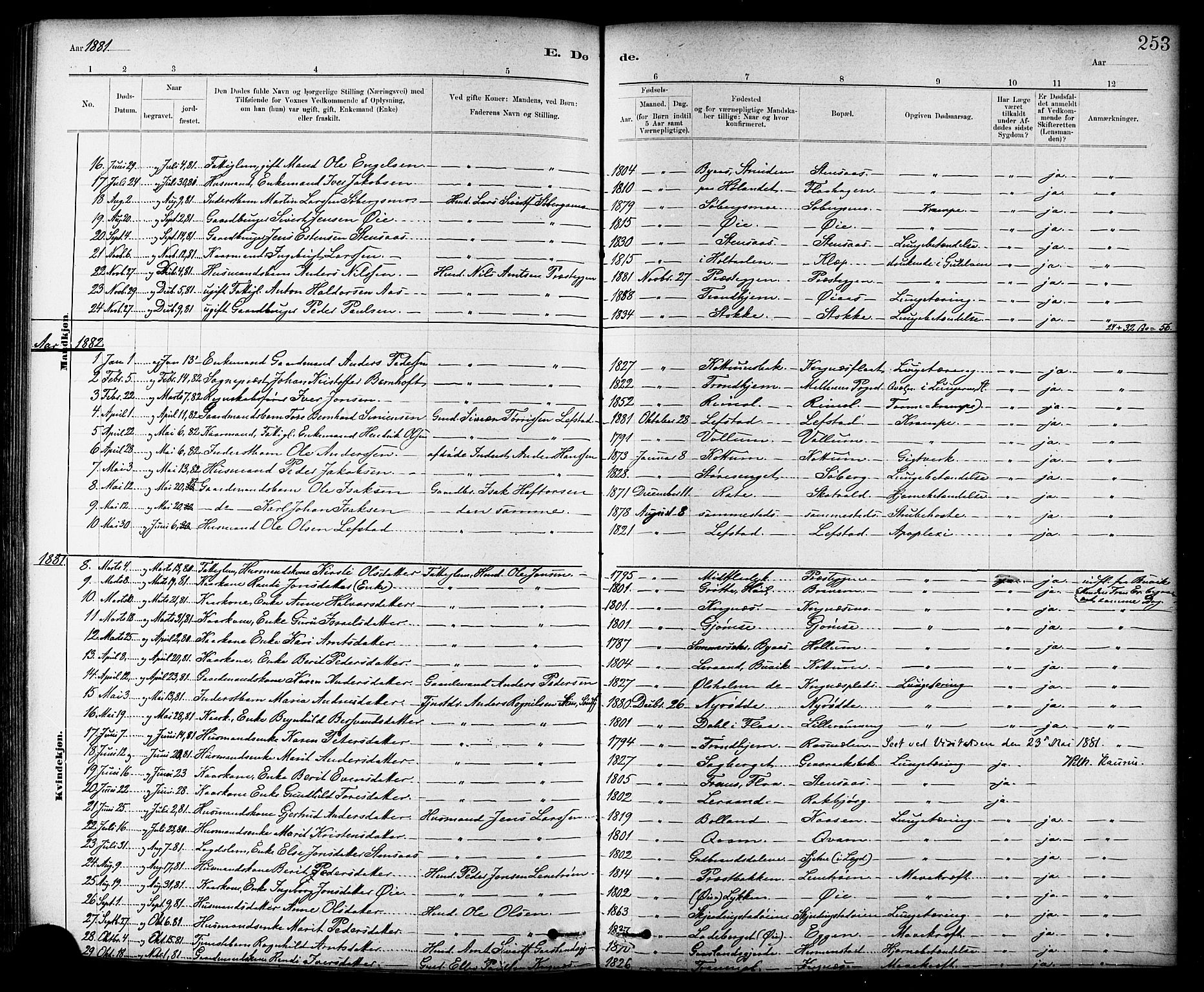 Ministerialprotokoller, klokkerbøker og fødselsregistre - Sør-Trøndelag, SAT/A-1456/691/L1094: Parish register (copy) no. 691C05, 1879-1911, p. 253