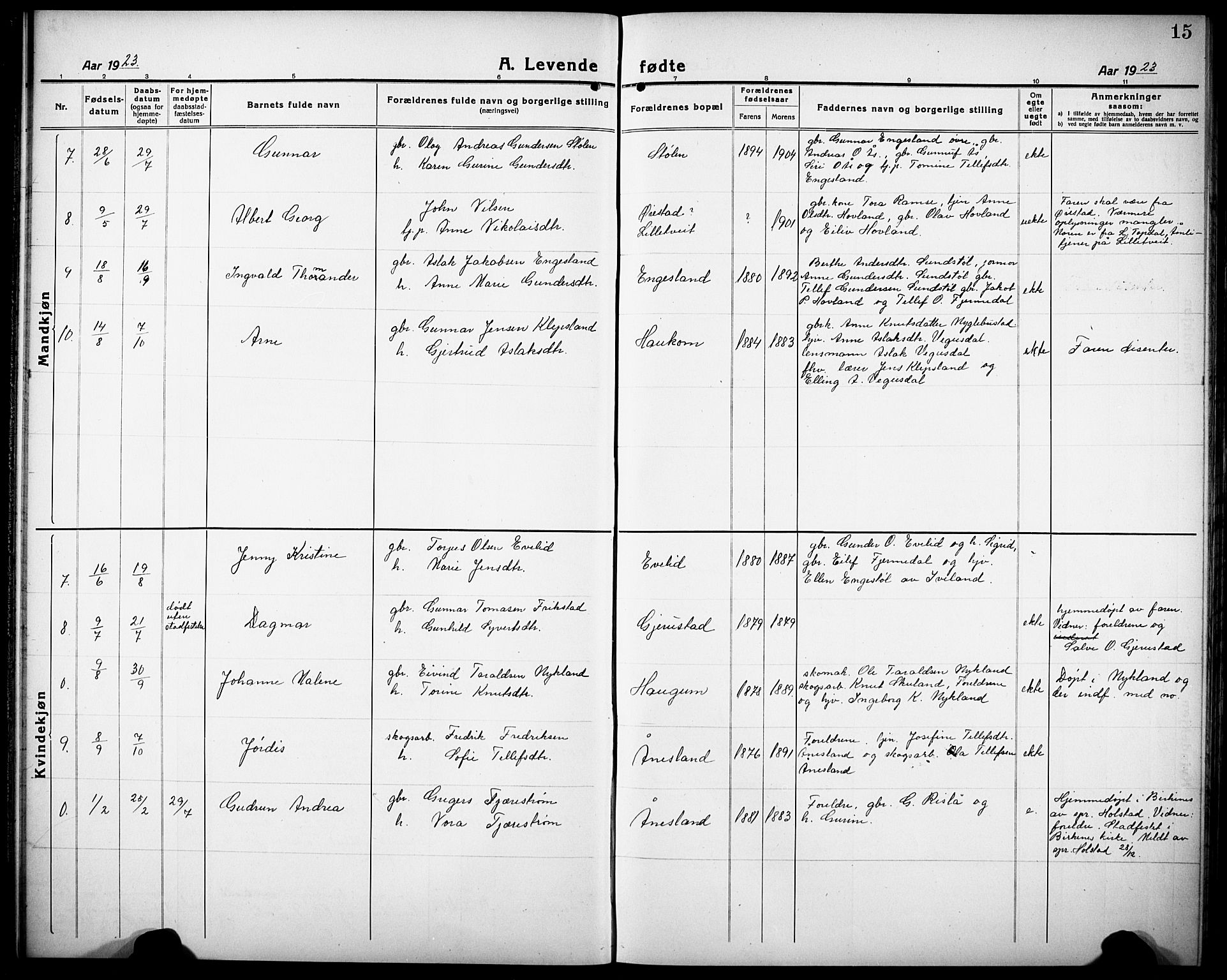 Herefoss sokneprestkontor, AV/SAK-1111-0019/F/Fb/Fbb/L0004: Parish register (copy) no. B 4, 1917-1933, p. 15