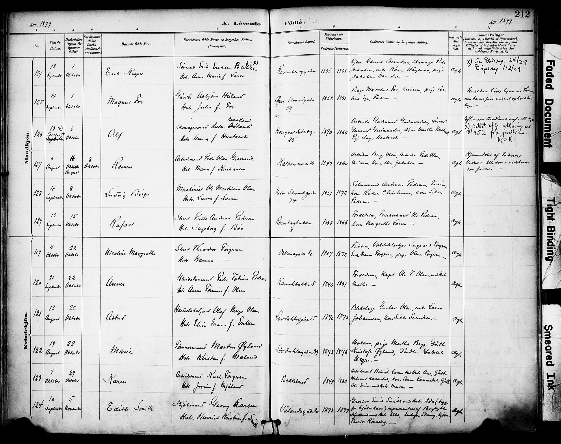 Domkirken sokneprestkontor, SAST/A-101812/001/30/30BA/L0030: Parish register (official) no. A 29, 1889-1902, p. 212