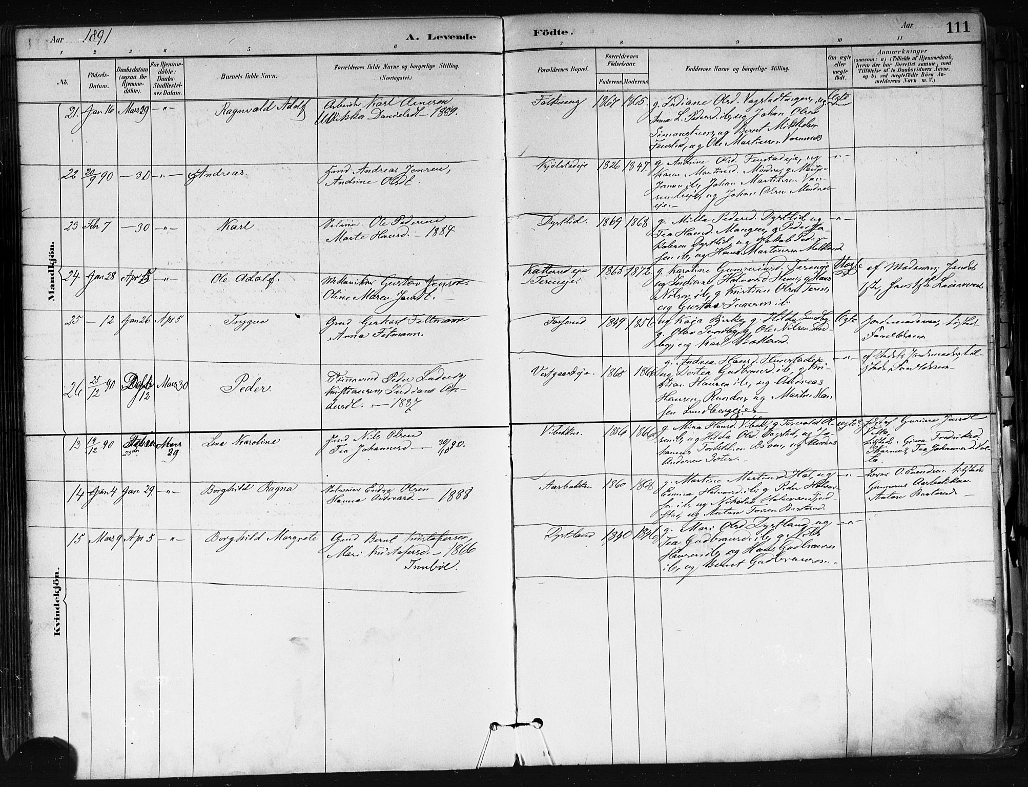 Nes prestekontor Kirkebøker, SAO/A-10410/F/Fa/L0010: Parish register (official) no. I 10, 1883-1898, p. 111