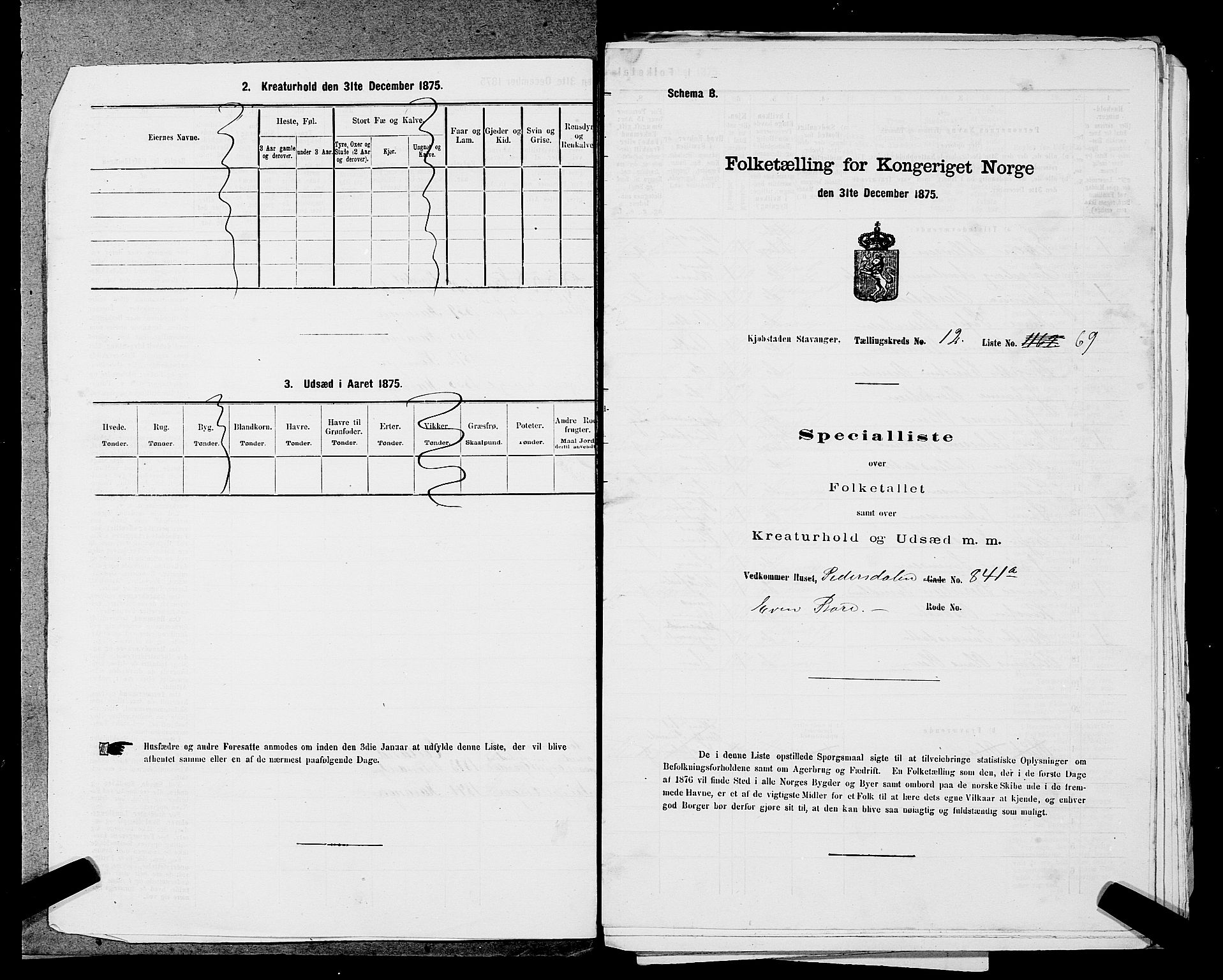 SAST, 1875 census for 1103 Stavanger, 1875, p. 2432