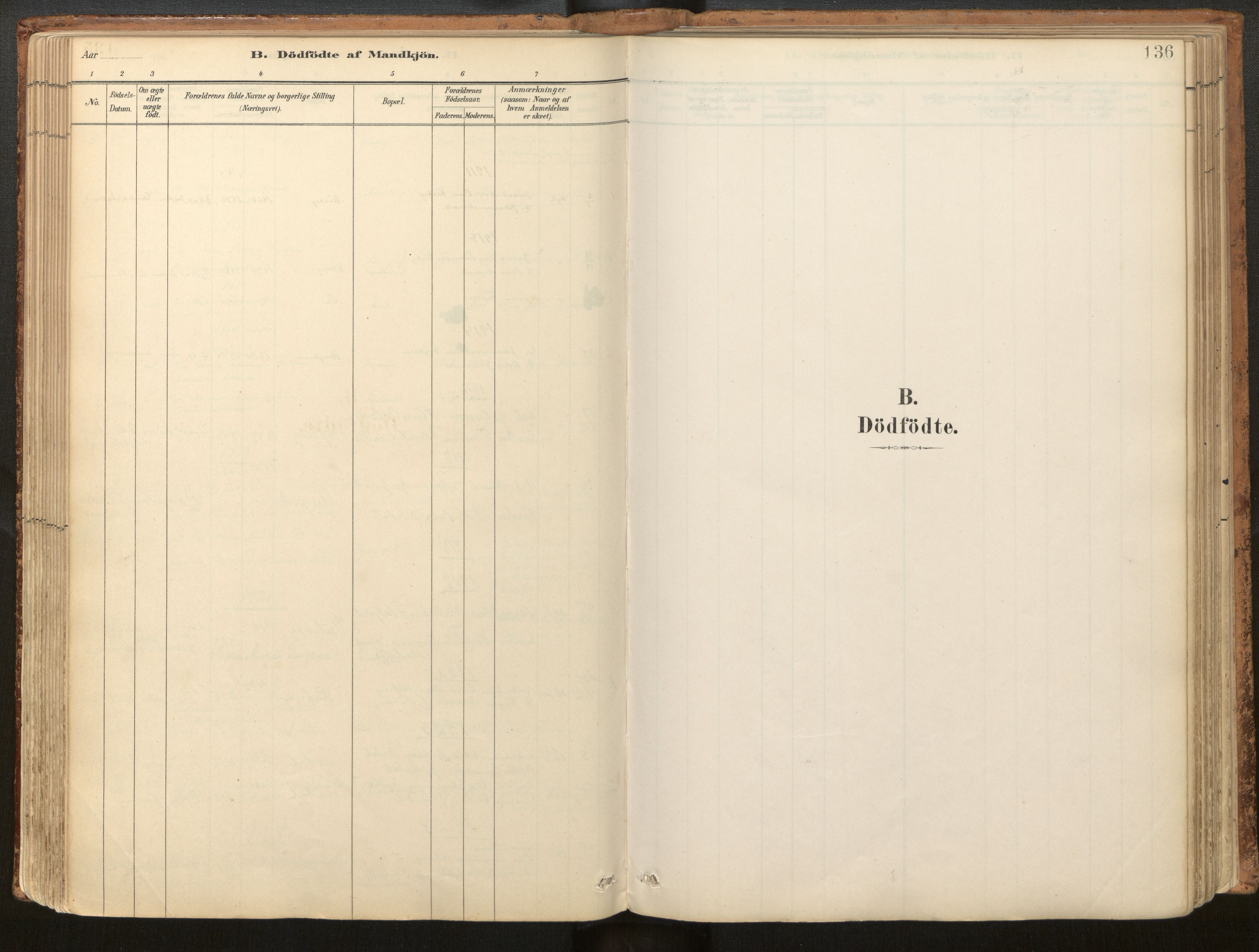 Jølster sokneprestembete, SAB/A-80701/H/Haa/Haac/L0001: Parish register (official) no. C 1, 1882-1928, p. 136