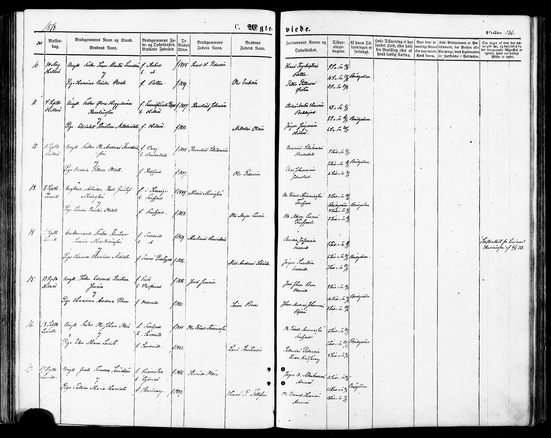 Lenvik sokneprestembete, AV/SATØ-S-1310/H/Ha/Haa/L0010kirke: Parish register (official) no. 10, 1873-1880, p. 136