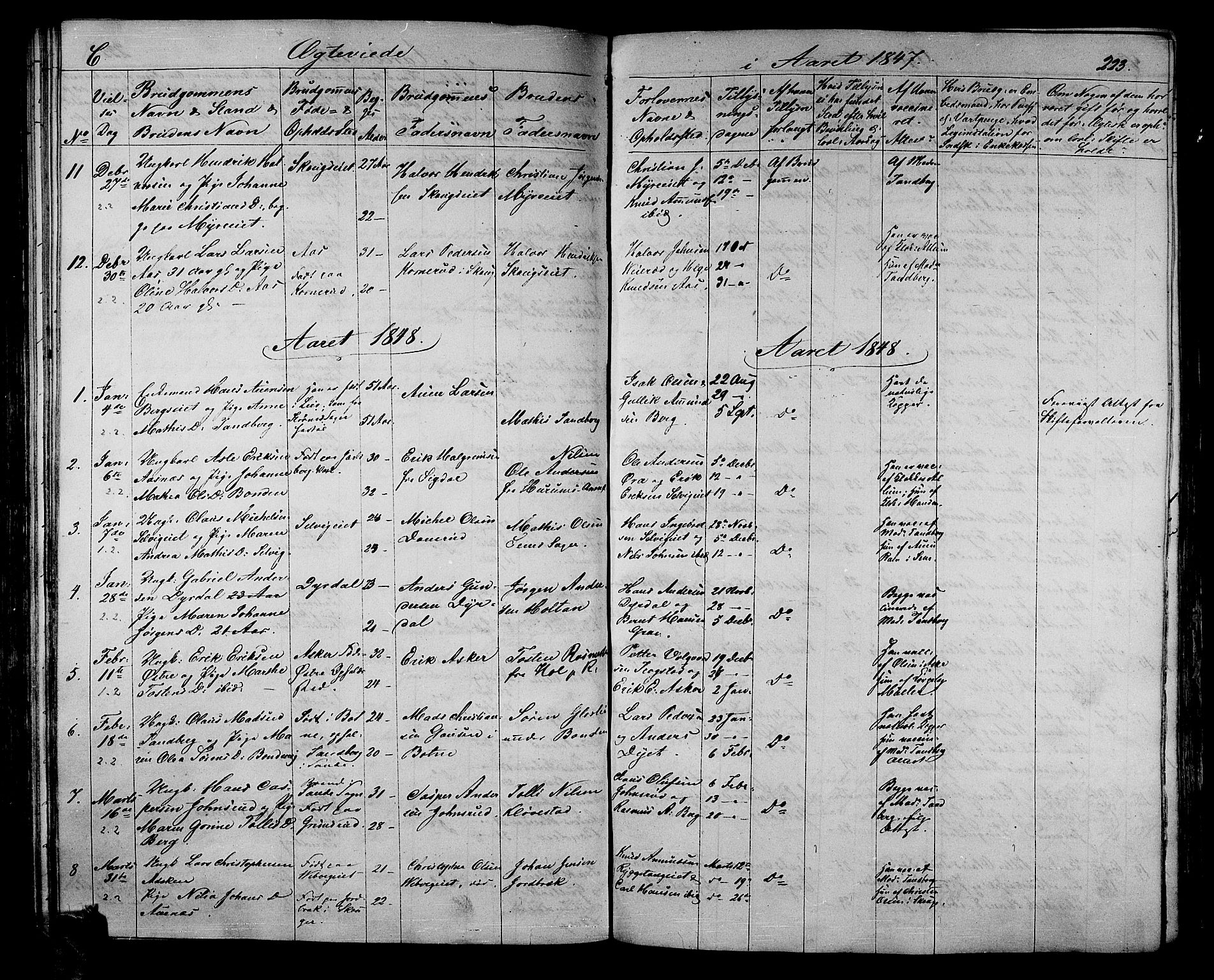 Sande Kirkebøker, AV/SAKO-A-53/G/Ga/L0002: Parish register (copy) no. 2, 1847-1863, p. 223