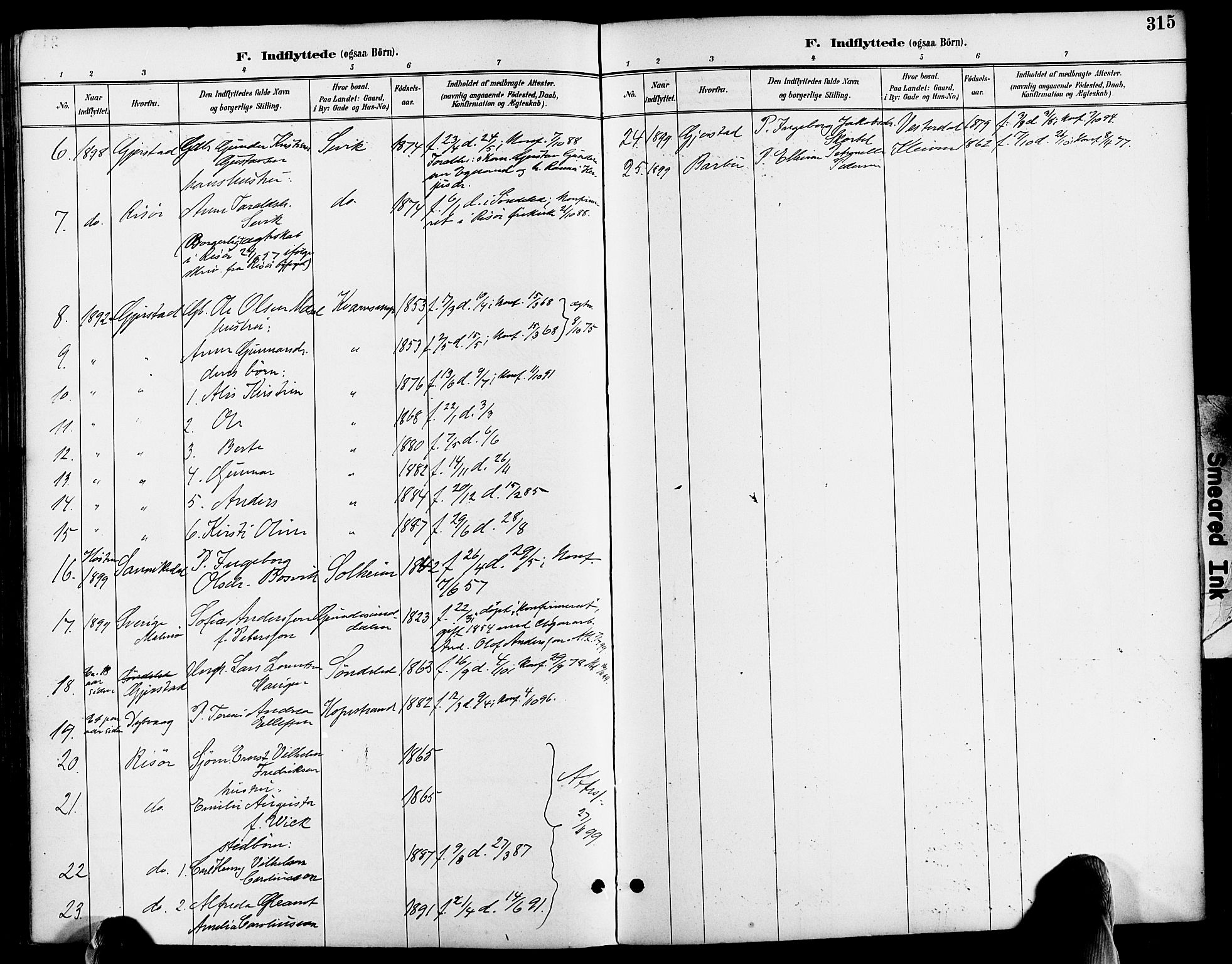 Søndeled sokneprestkontor, SAK/1111-0038/F/Fa/L0005: Parish register (official) no. A 5, 1889-1899, p. 315