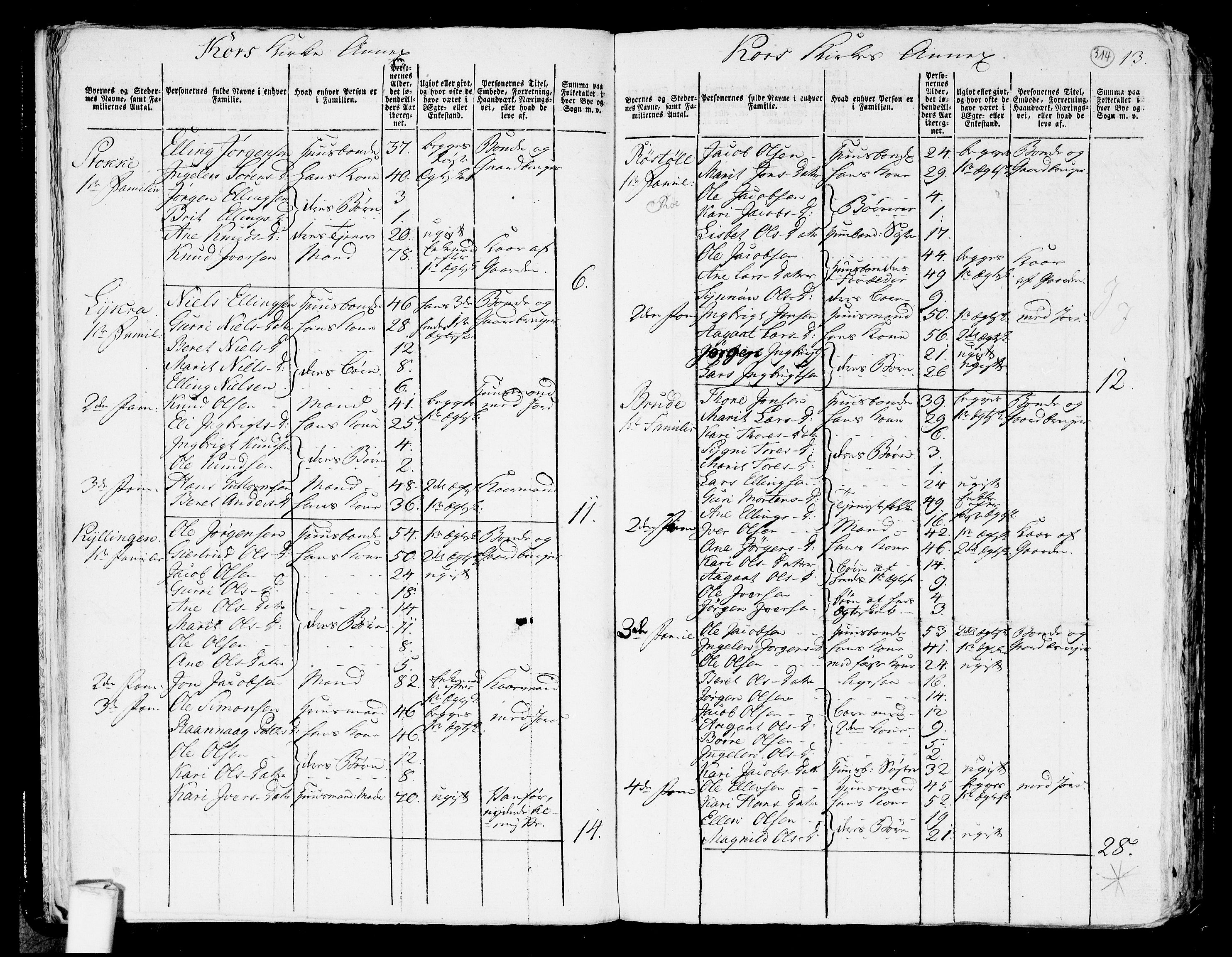 RA, 1801 census for 1539P Grytten, 1801, p. 313b-314a