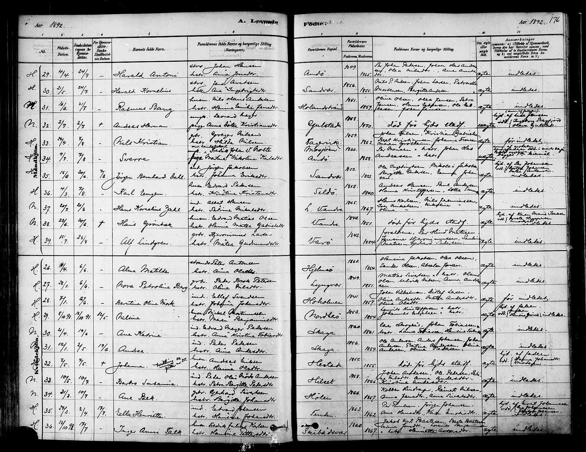 Ministerialprotokoller, klokkerbøker og fødselsregistre - Nordland, SAT/A-1459/834/L0507: Parish register (official) no. 834A05, 1878-1892, p. 176