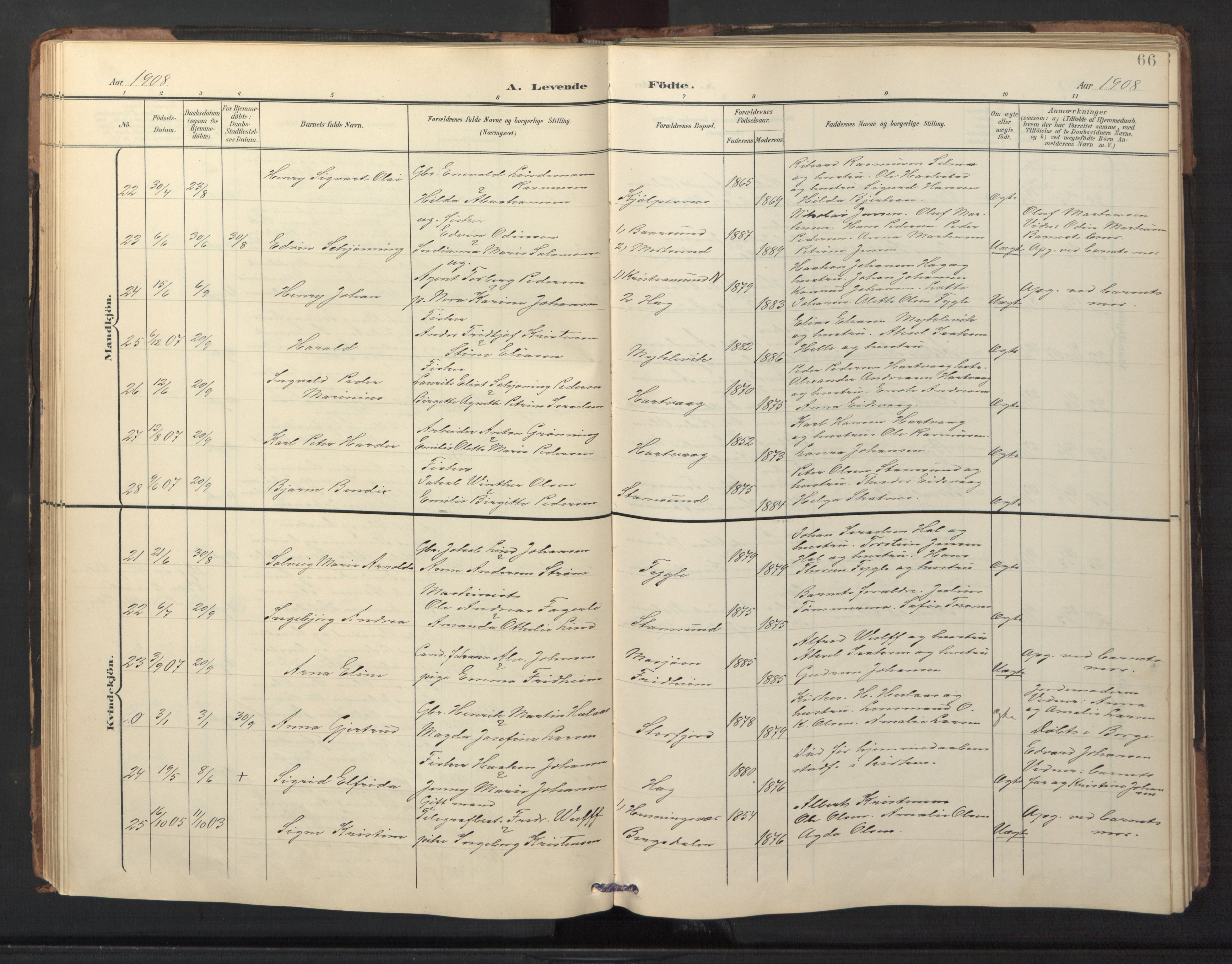 Ministerialprotokoller, klokkerbøker og fødselsregistre - Nordland, AV/SAT-A-1459/882/L1185: Parish register (copy) no. 882C03, 1898-1910, p. 66