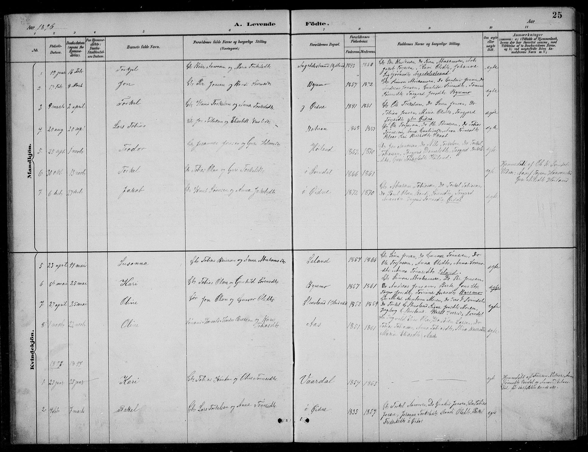 Bjelland sokneprestkontor, SAK/1111-0005/F/Fb/Fbc/L0003: Parish register (copy) no. B 3, 1887-1924, p. 25