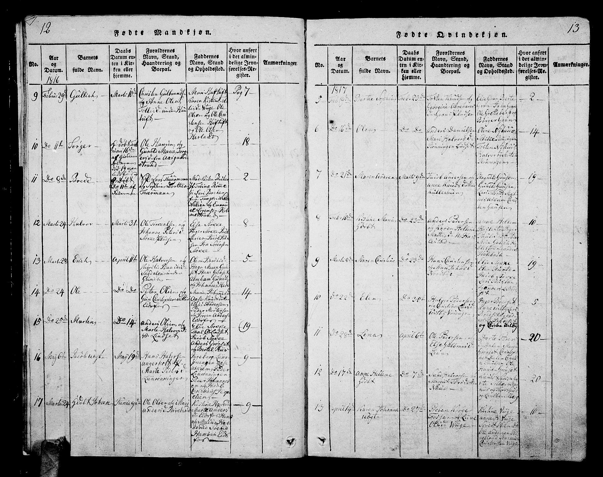 Hof kirkebøker, AV/SAKO-A-64/G/Ga/L0001: Parish register (copy) no. I 1, 1814-1844, p. 12-13