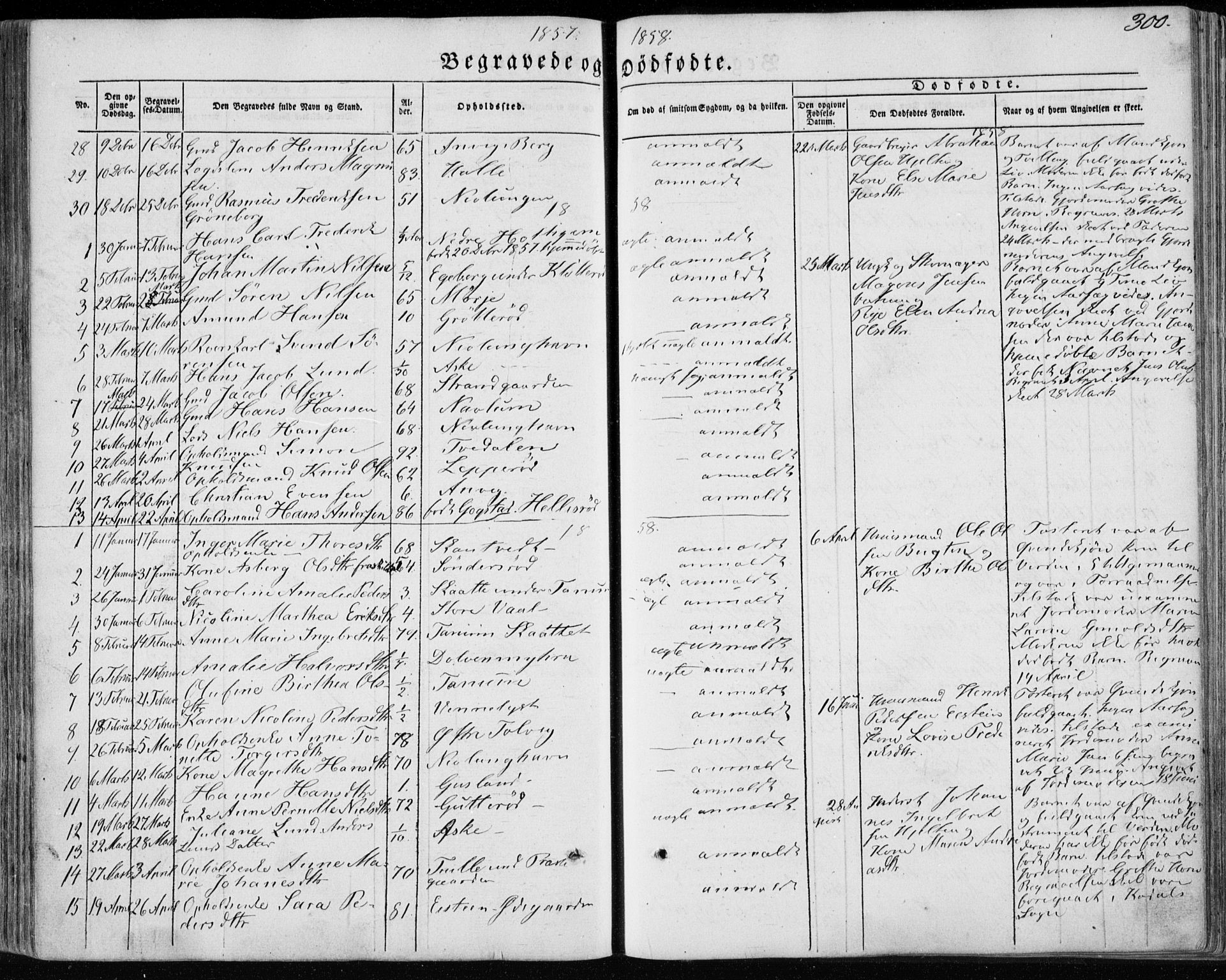 Brunlanes kirkebøker, AV/SAKO-A-342/F/Fa/L0004: Parish register (official) no. I 4, 1846-1862, p. 300