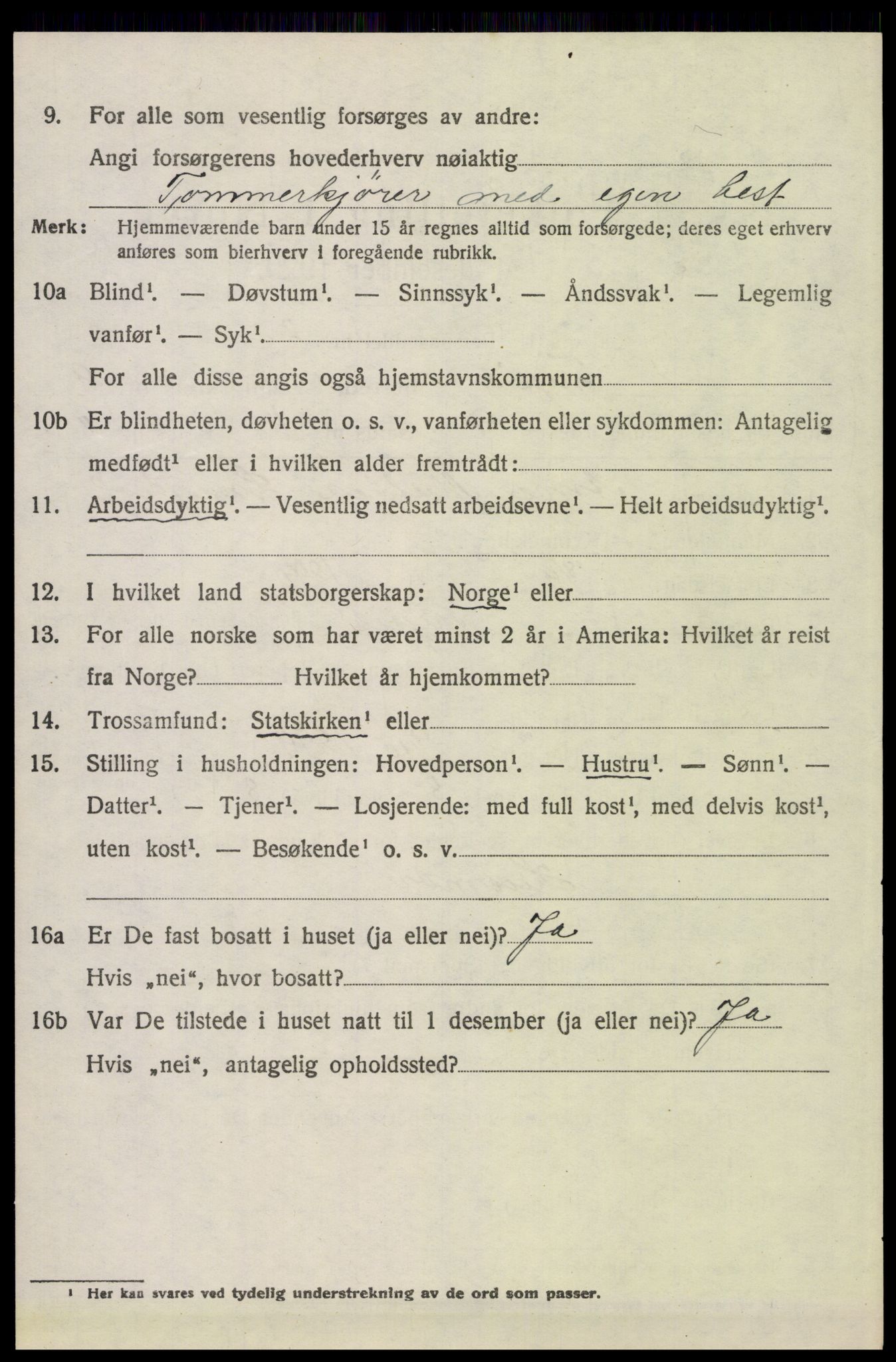 SAH, 1920 census for Trysil, 1920, p. 6646