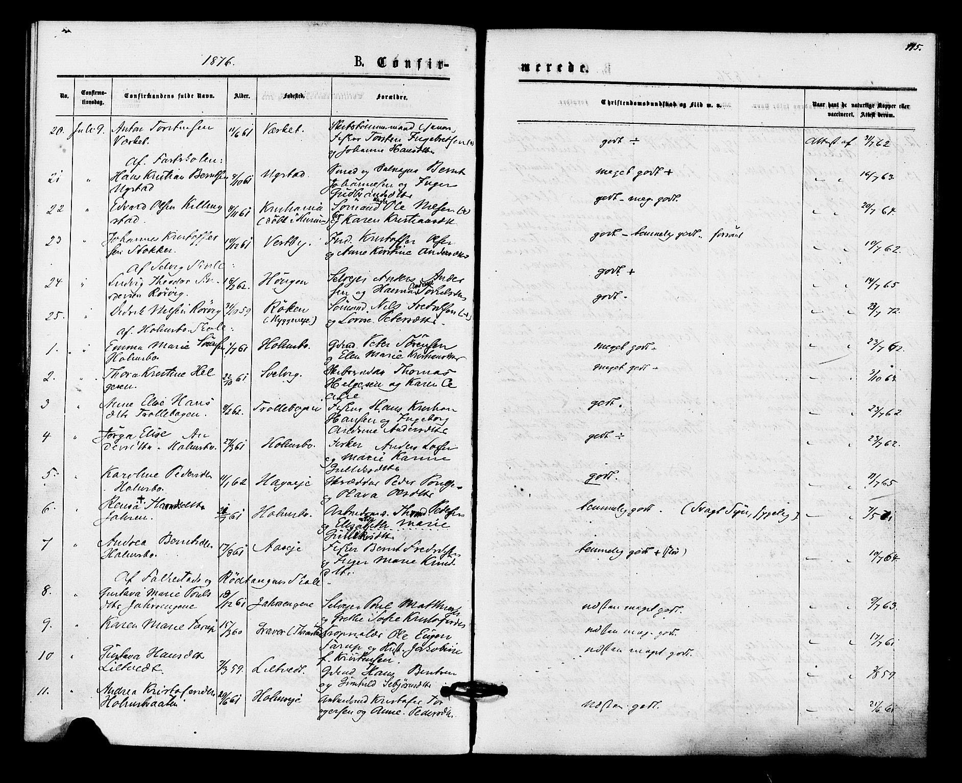 Hurum kirkebøker, AV/SAKO-A-229/F/Fa/L0013: Parish register (official) no. 13, 1876-1881, p. 115