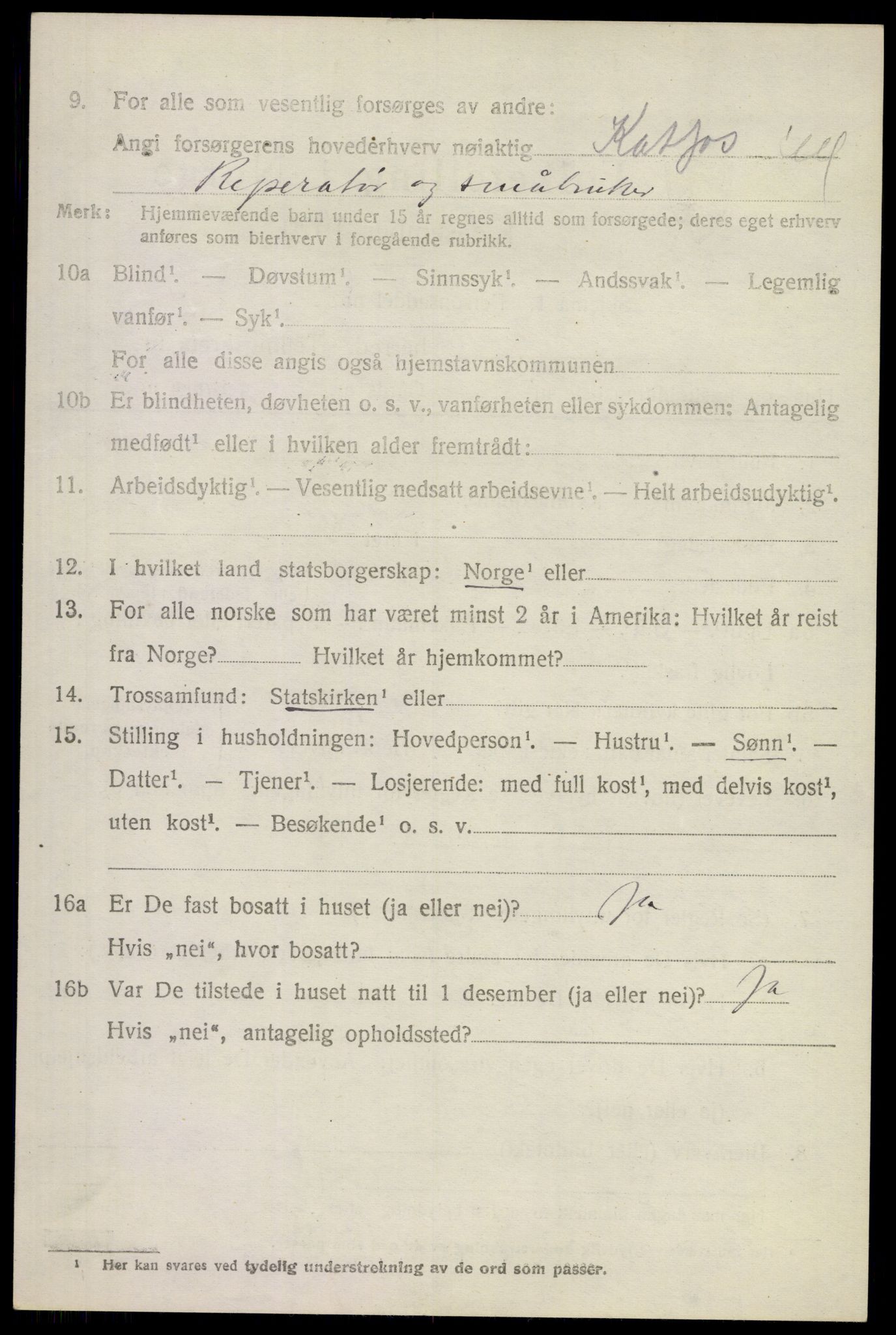 SAKO, 1920 census for Modum, 1920, p. 13284