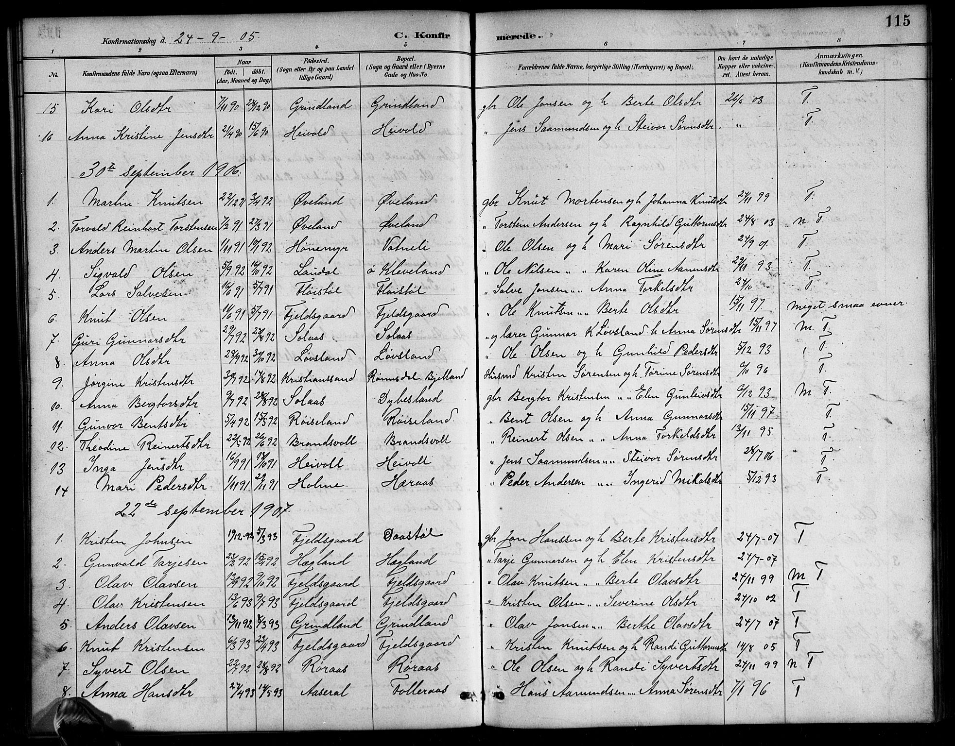 Bjelland sokneprestkontor, SAK/1111-0005/F/Fb/Fbb/L0005: Parish register (copy) no. B 5, 1887-1918, p. 115