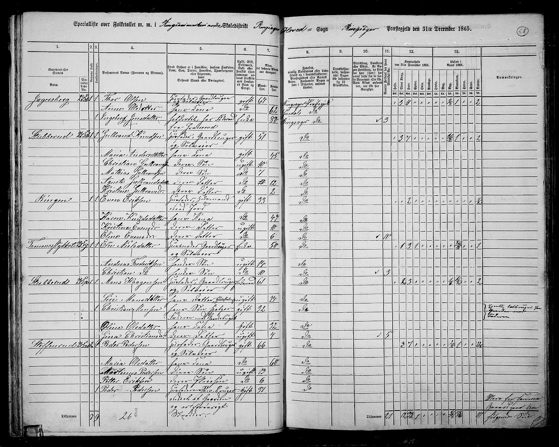 RA, 1865 census for Ringsaker, 1865, p. 310