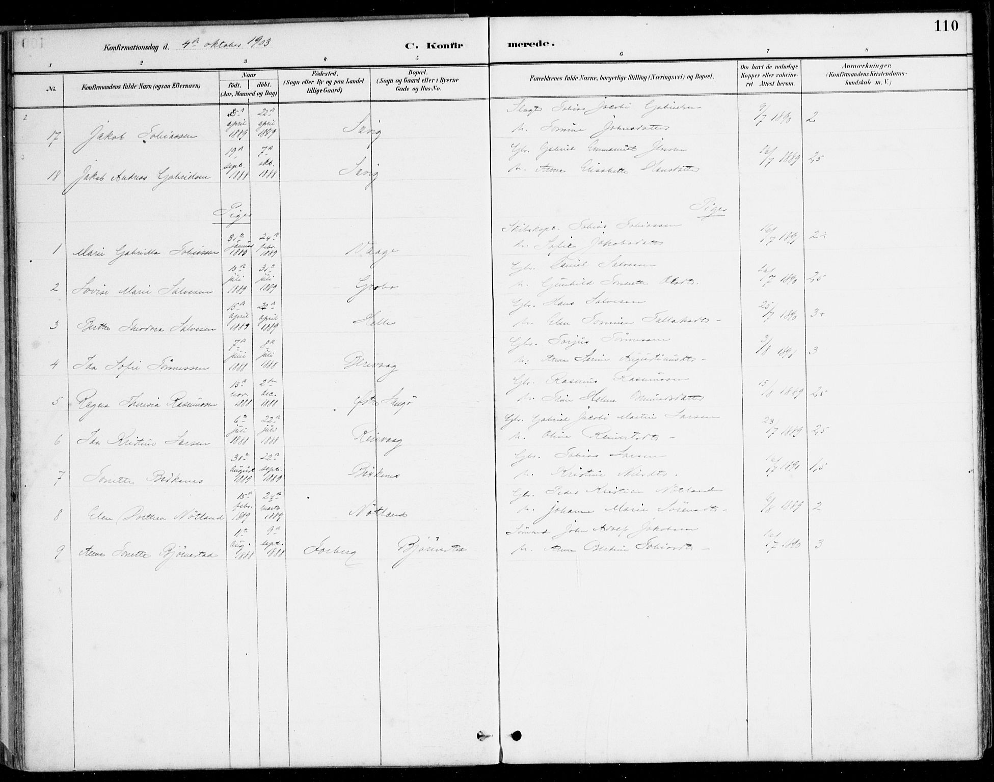 Herad sokneprestkontor, AV/SAK-1111-0018/F/Fa/Fab/L0005: Parish register (official) no. A 5, 1886-1913, p. 110