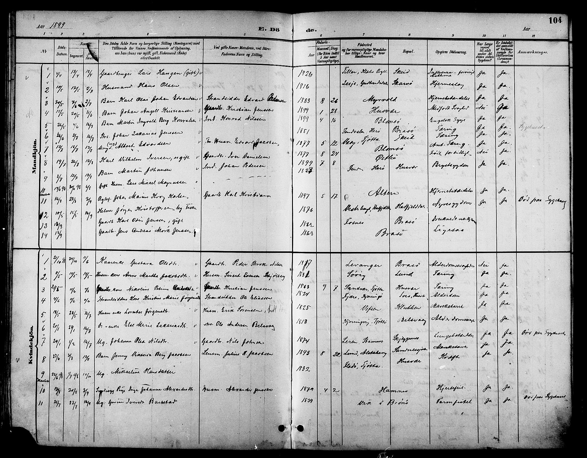 Ministerialprotokoller, klokkerbøker og fødselsregistre - Nordland, AV/SAT-A-1459/830/L0463: Parish register (copy) no. 830C05, 1895-1906, p. 104