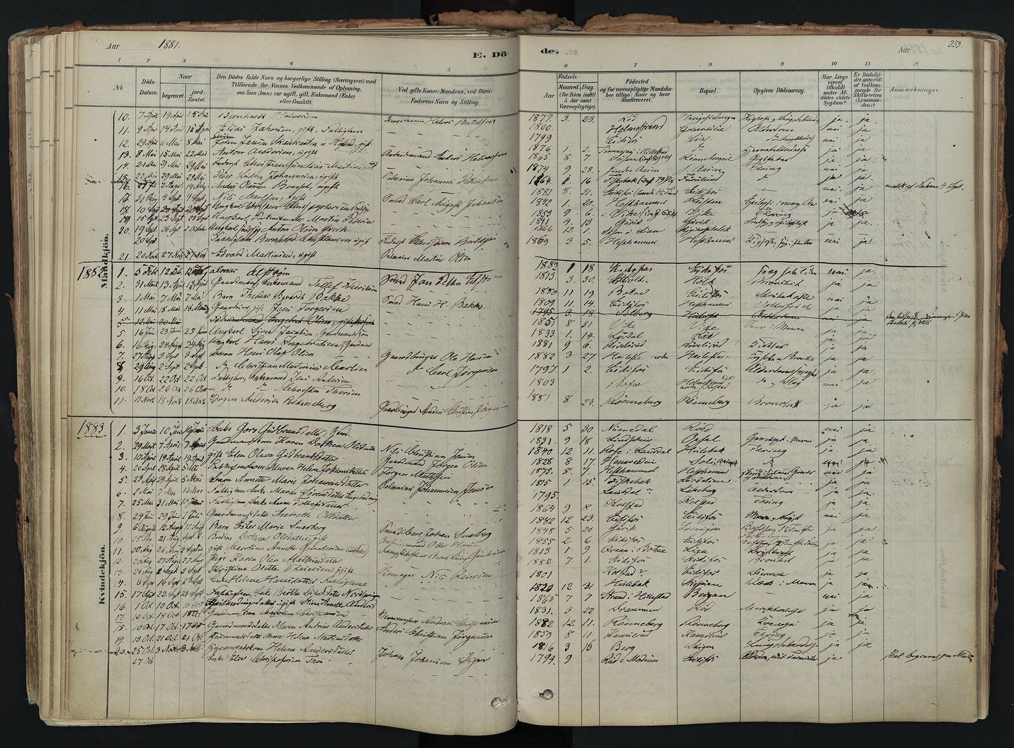 Hof kirkebøker, AV/SAKO-A-64/F/Fa/L0007: Parish register (official) no. I 7, 1878-1940, p. 253