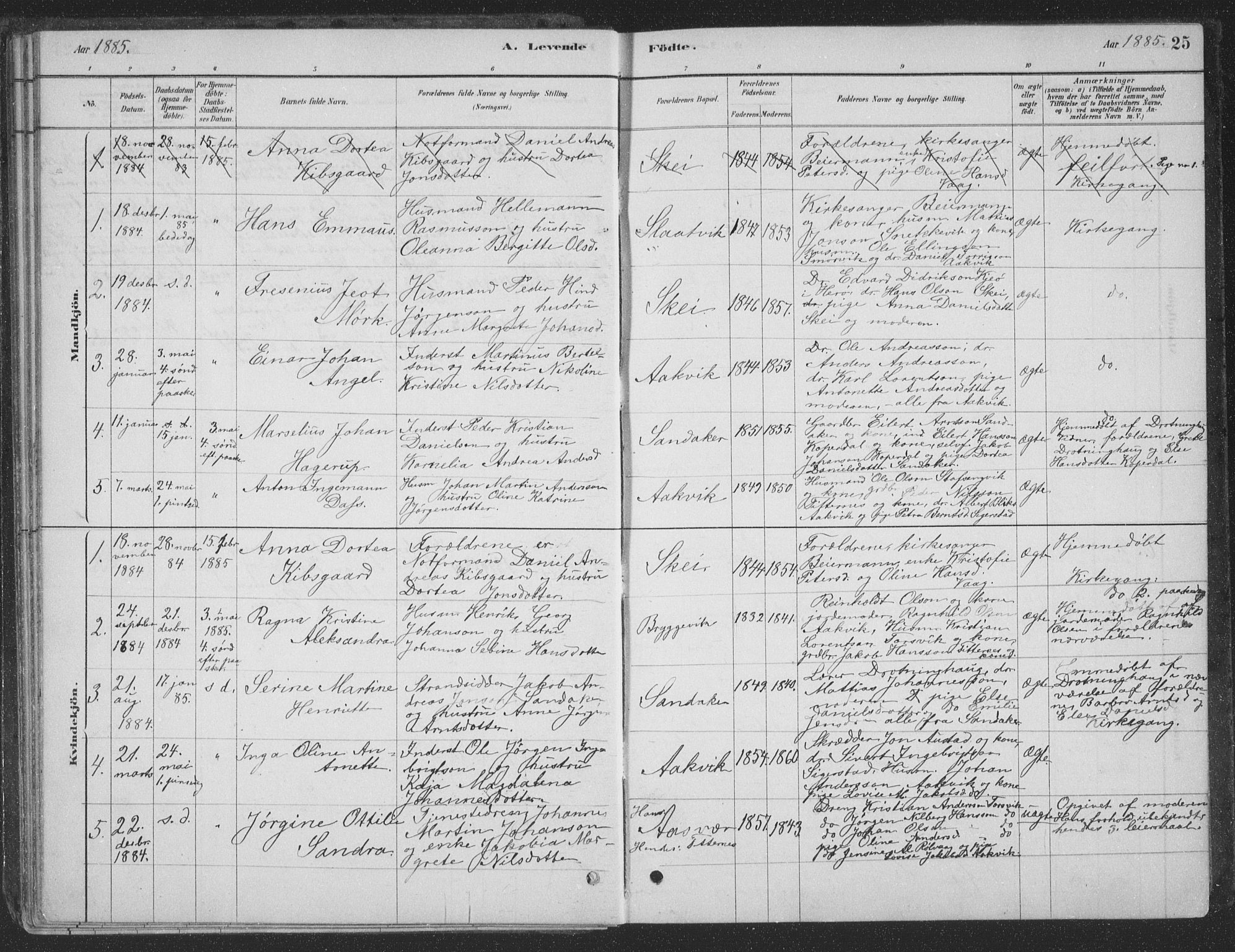 Ministerialprotokoller, klokkerbøker og fødselsregistre - Nordland, AV/SAT-A-1459/835/L0532: Parish register (copy) no. 835C04, 1880-1905, p. 25