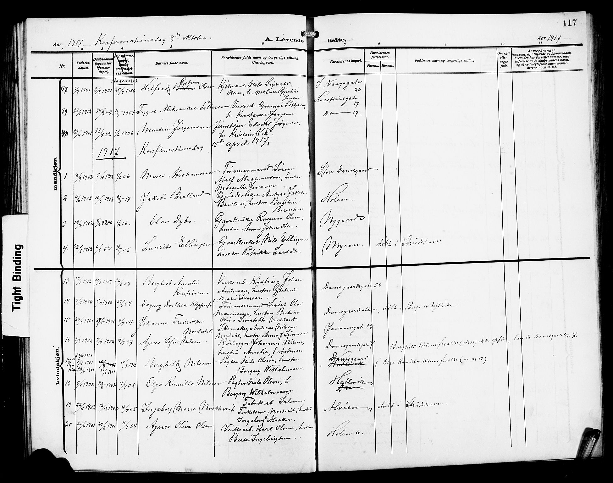 Laksevåg Sokneprestembete, SAB/A-76501/H/Ha/Hab/Haba/L0005: Parish register (copy) no. A 5, 1910-1917, p. 117