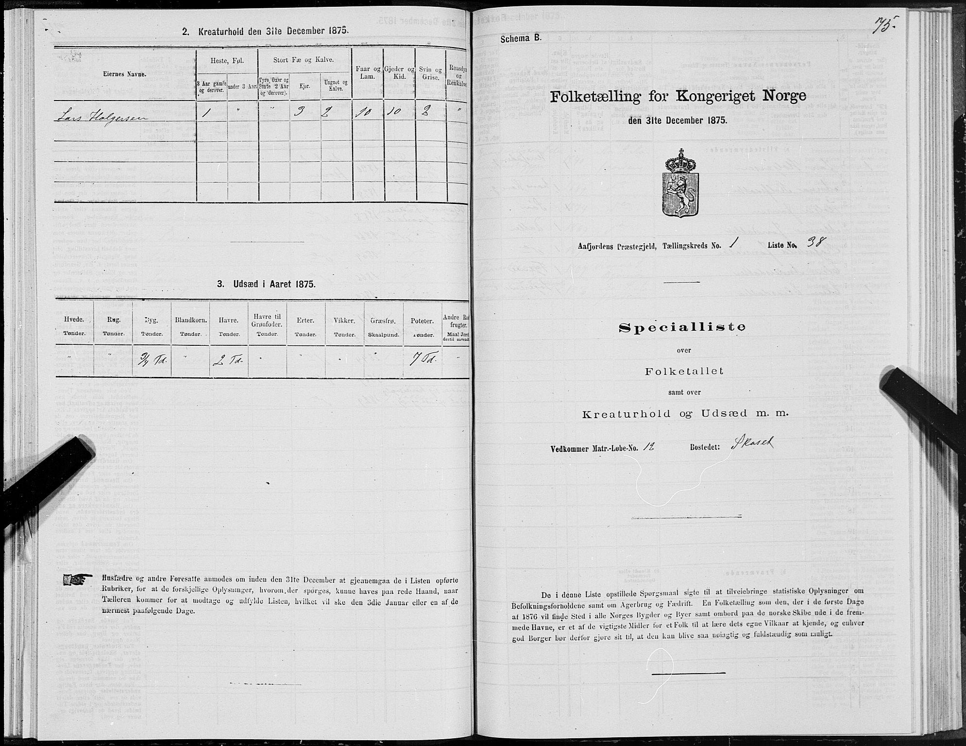 SAT, 1875 census for 1630P Aafjorden, 1875, p. 1075