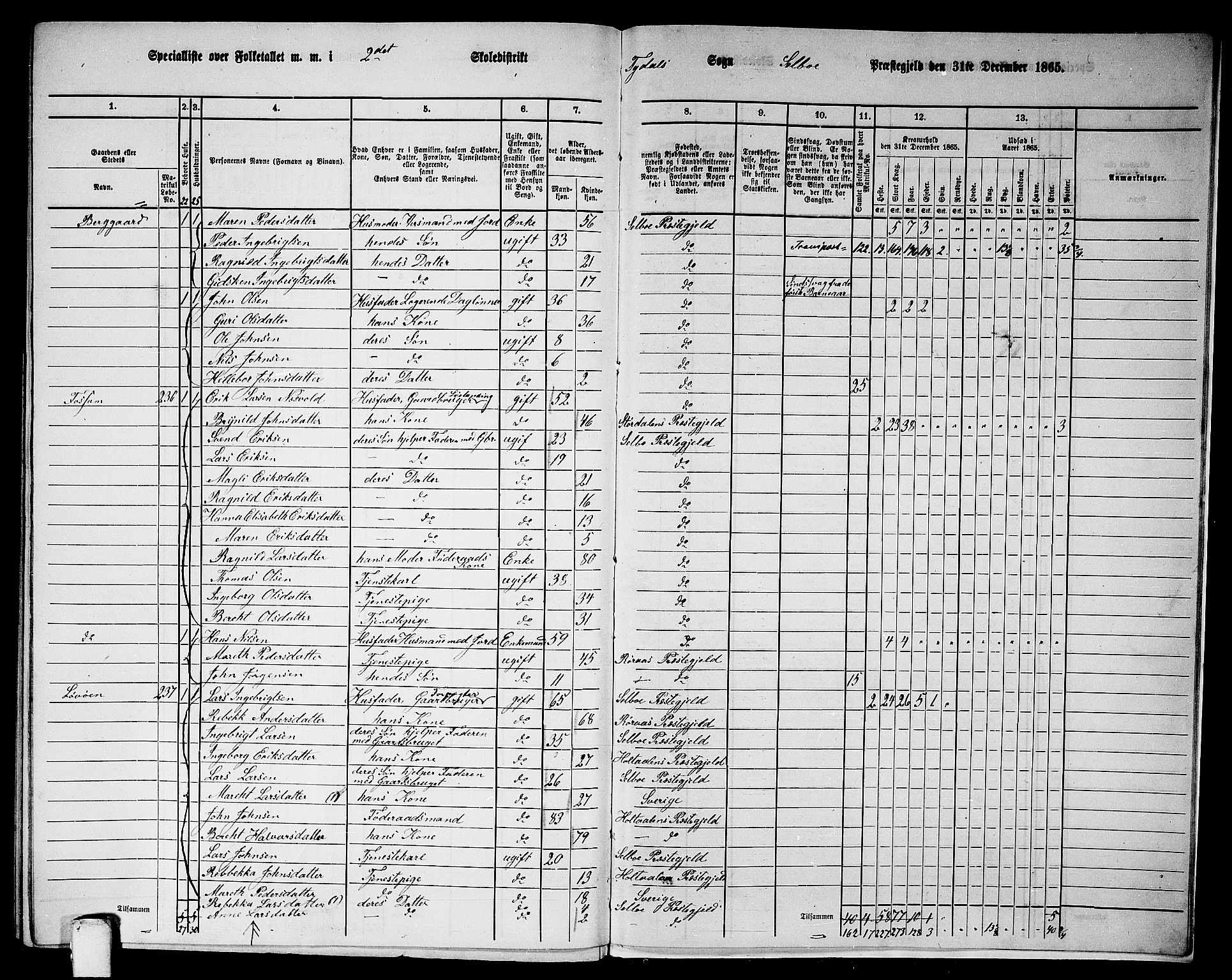 RA, 1865 census for Selbu, 1865, p. 249