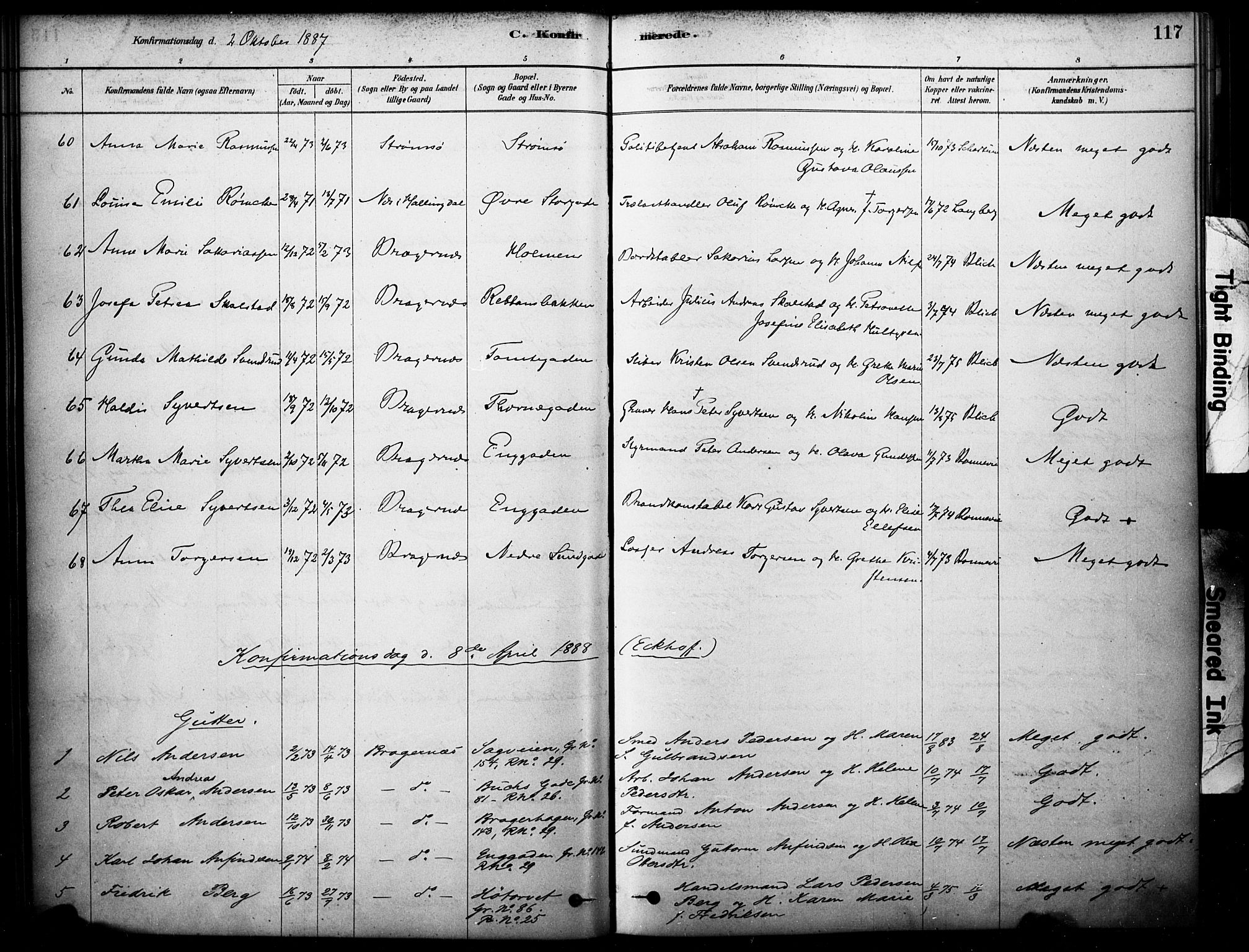 Bragernes kirkebøker, SAKO/A-6/F/Fc/L0005: Parish register (official) no. III 5, 1878-1890, p. 117
