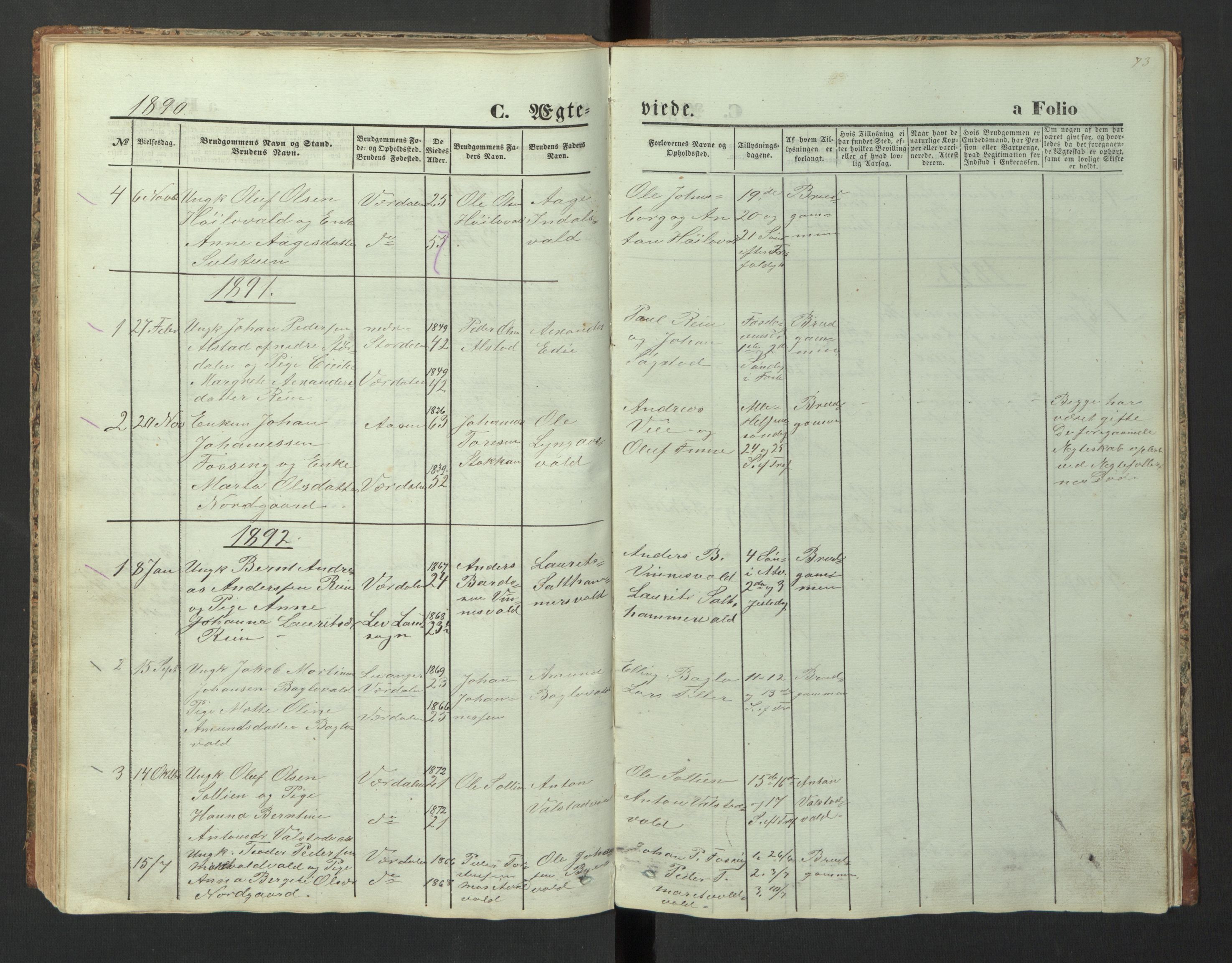 Ministerialprotokoller, klokkerbøker og fødselsregistre - Nord-Trøndelag, SAT/A-1458/726/L0271: Parish register (copy) no. 726C02, 1869-1897, p. 73