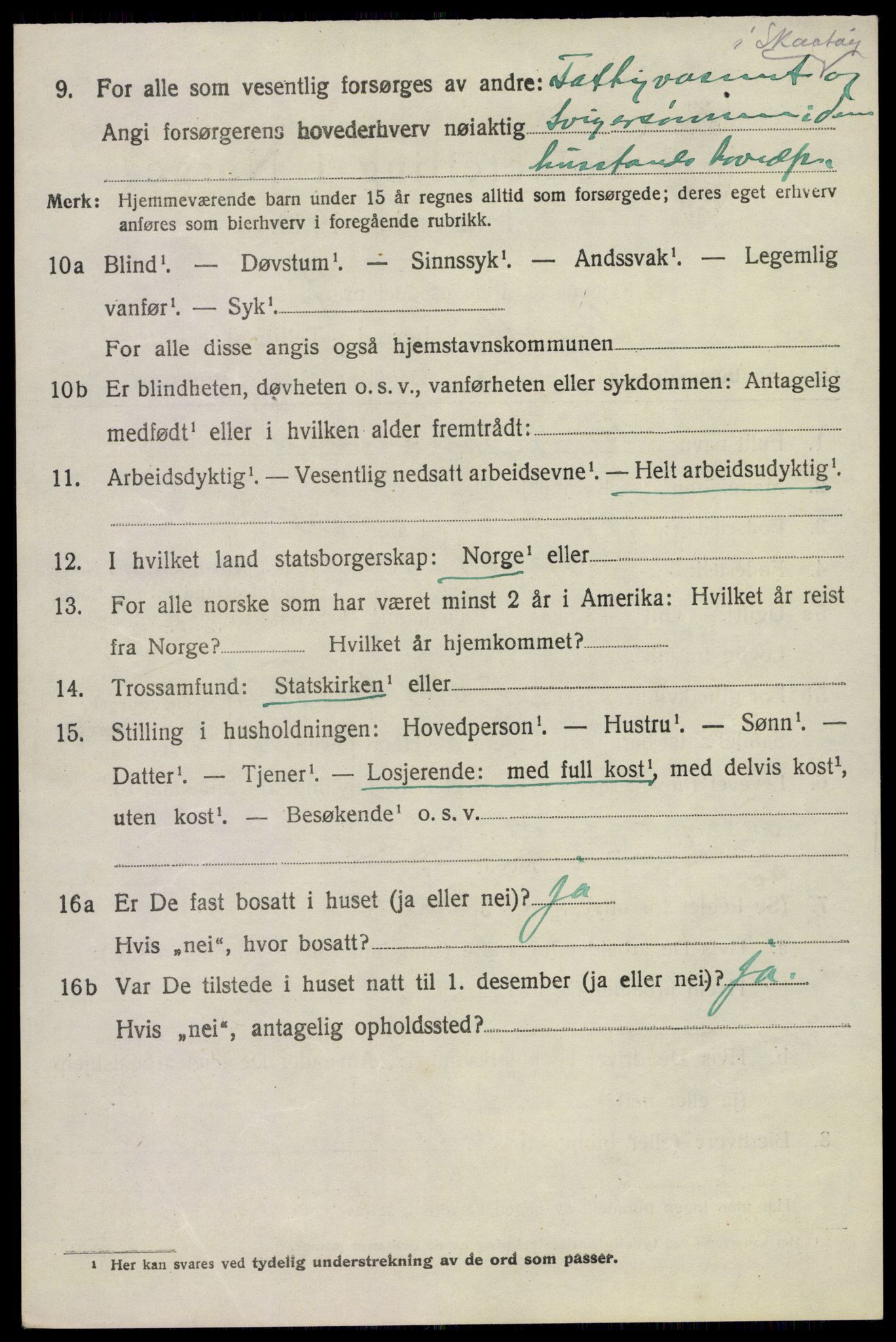 SAKO, 1920 census for Skåtøy, 1920, p. 6505