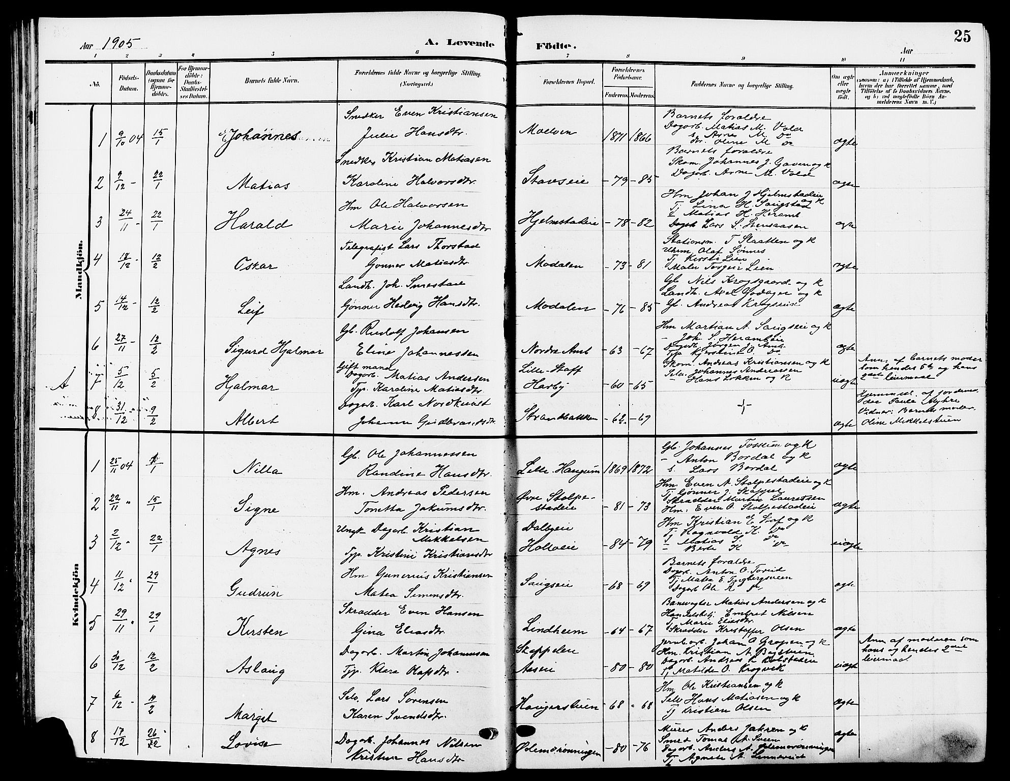 Ringsaker prestekontor, SAH/PREST-014/L/La/L0015: Parish register (copy) no. 15, 1903-1912, p. 25