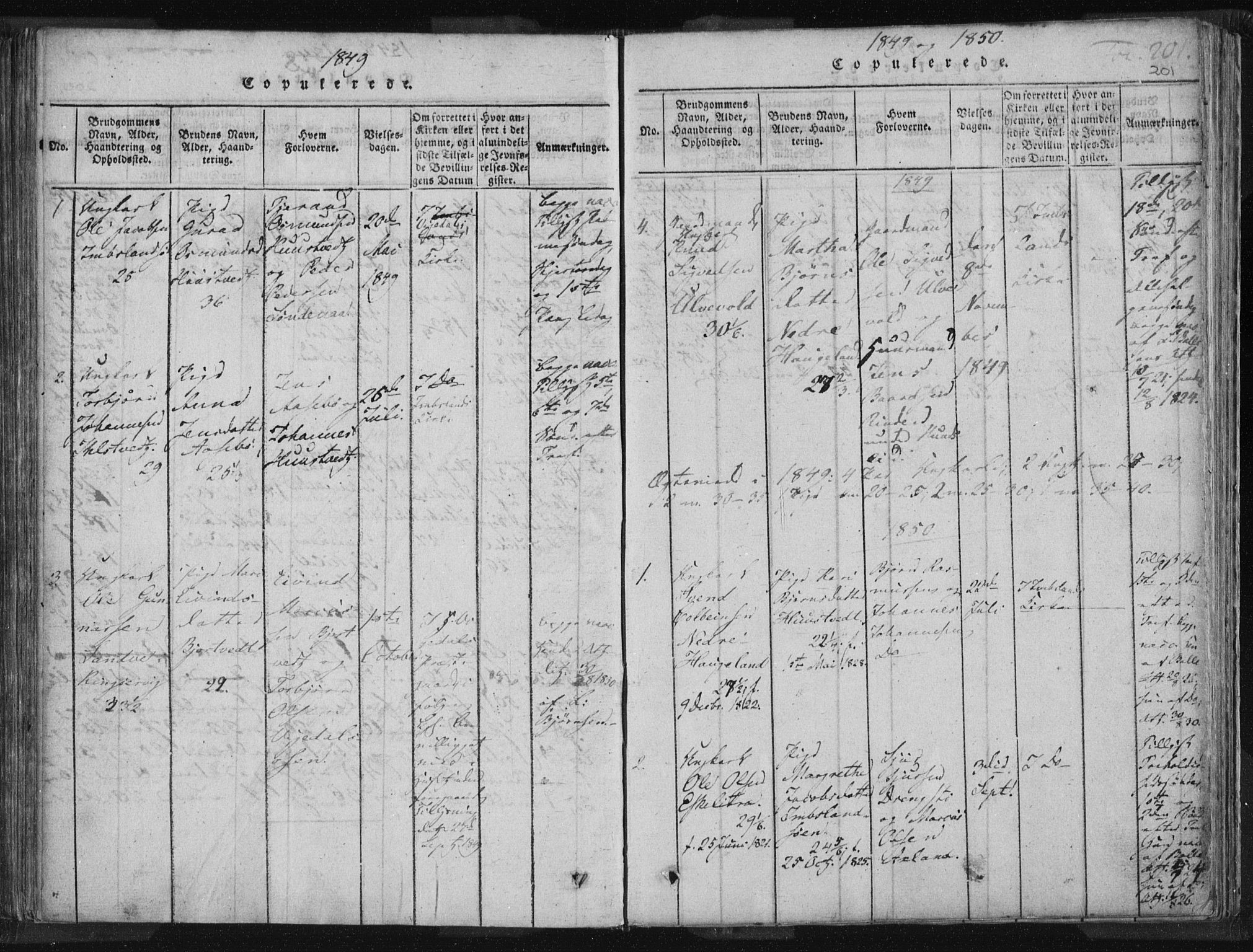 Vikedal sokneprestkontor, AV/SAST-A-101840/01/IV: Parish register (official) no. A 5, 1817-1850, p. 201