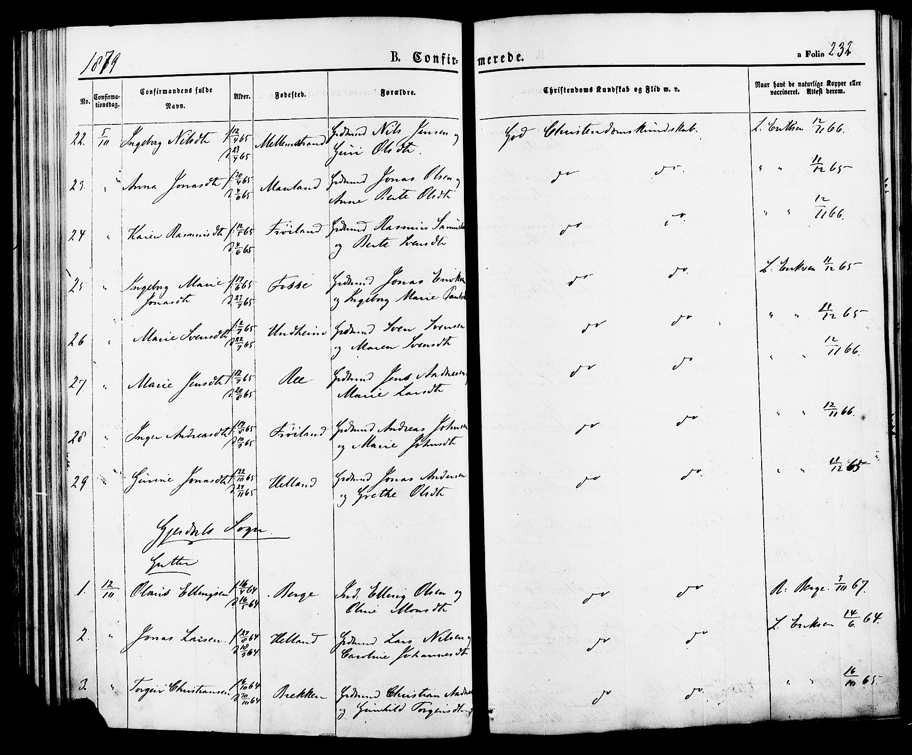 Lye sokneprestkontor, AV/SAST-A-101794/001/30BA/L0008: Parish register (official) no. A 7, 1872-1881, p. 232