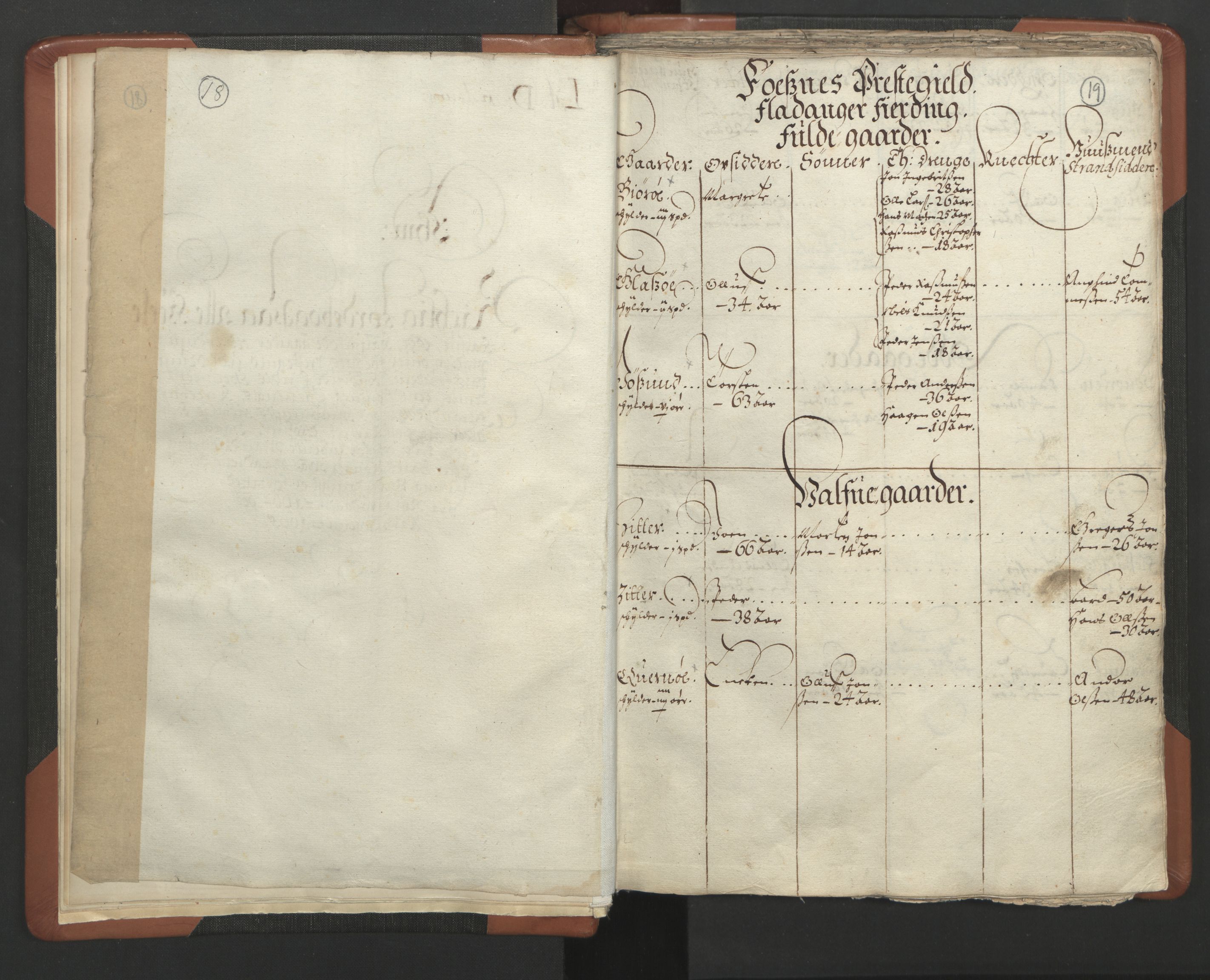 RA, Vicar's Census 1664-1666, no. 34: Namdal deanery, 1664-1666, p. 18-19