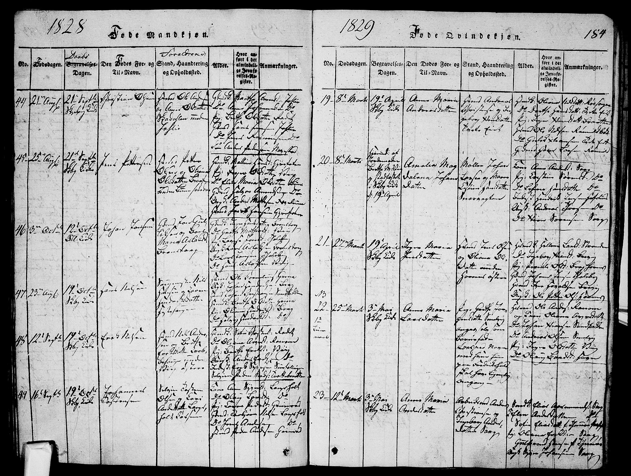 Skjeberg prestekontor Kirkebøker, SAO/A-10923/G/Ga/L0001: Parish register (copy) no. I 1, 1815-1830, p. 184