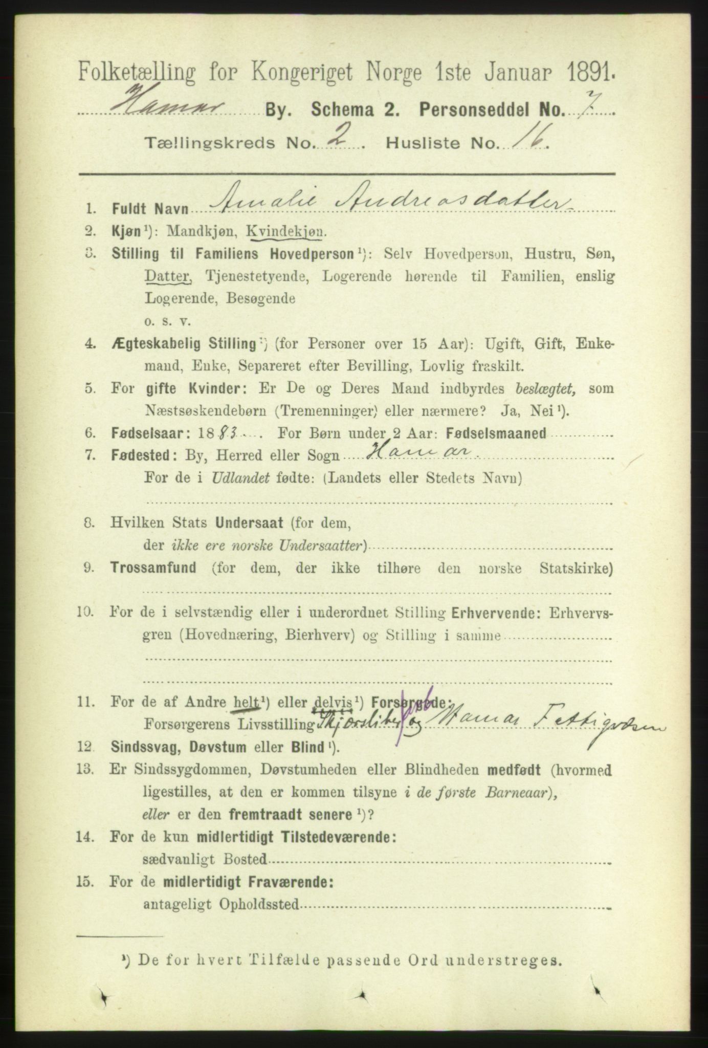 RA, 1891 census for 0401 Hamar, 1891, p. 1204