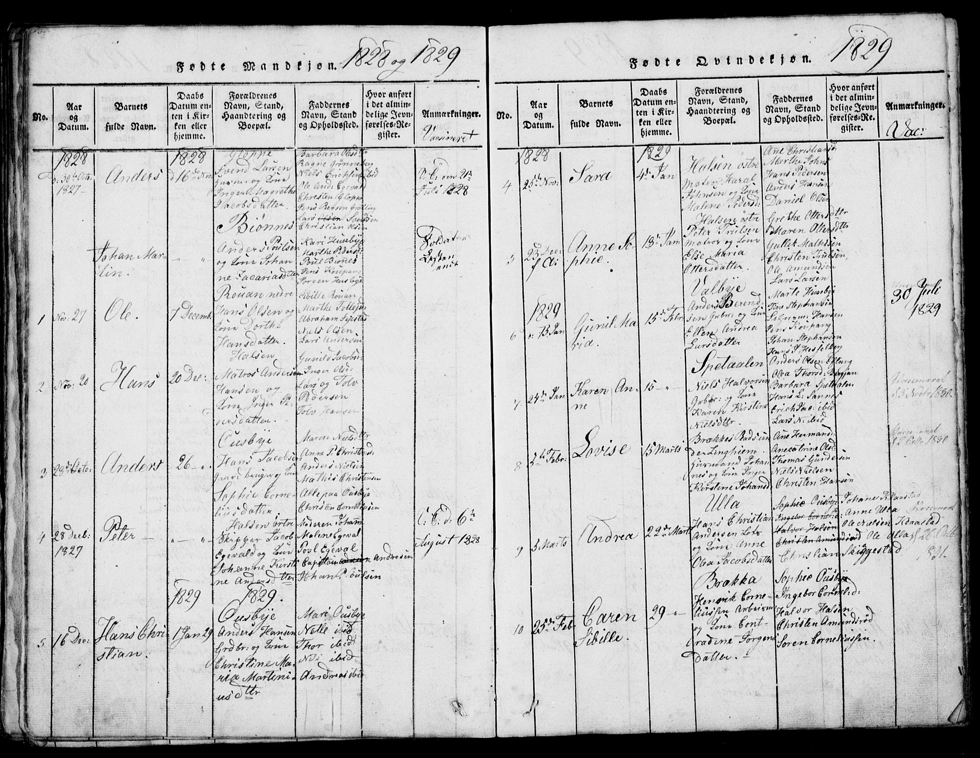 Tjølling kirkebøker, AV/SAKO-A-60/G/Ga/L0001: Parish register (copy) no. 1, 1814-1835, p. 134